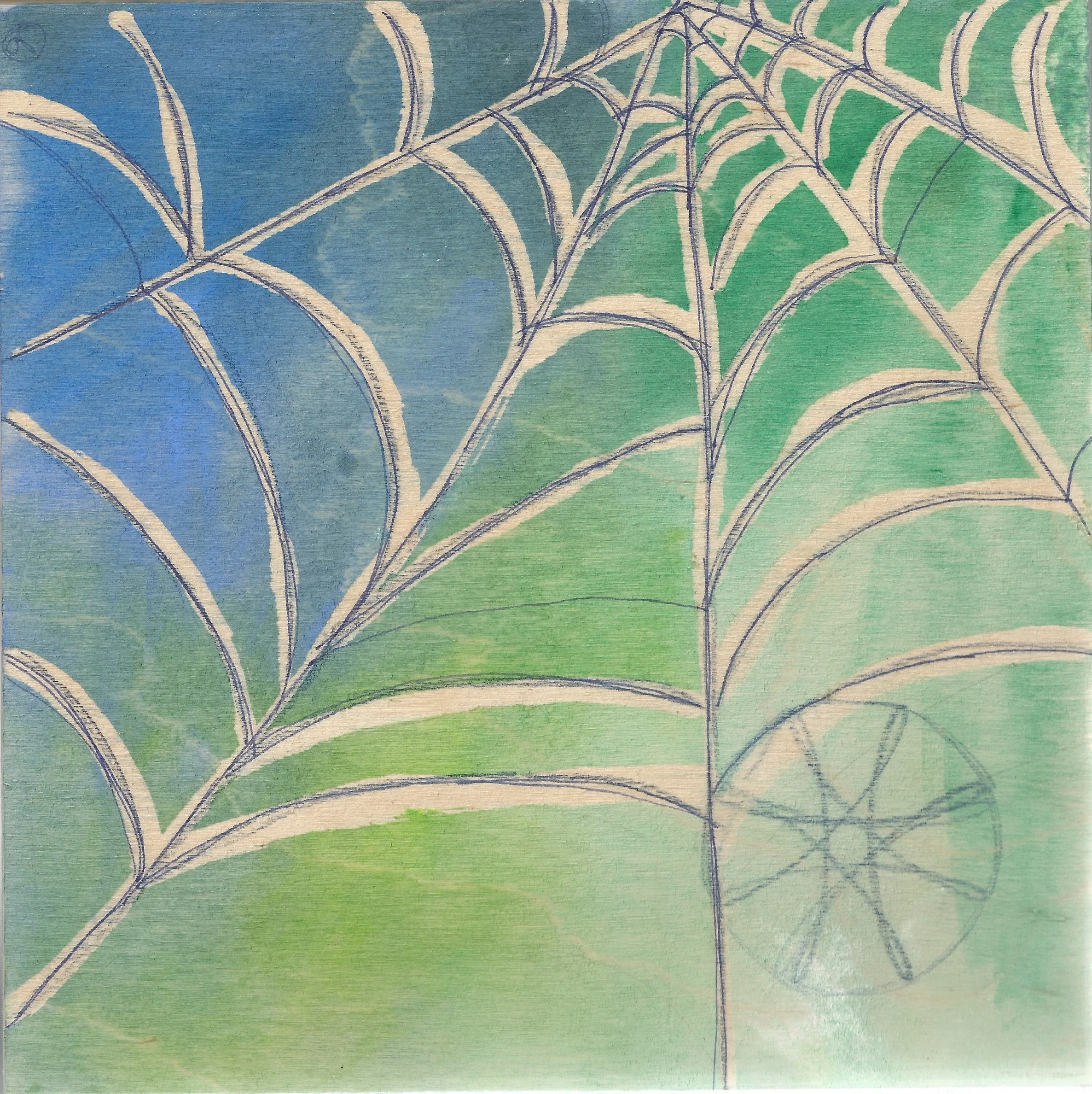 cool spider web.jpg