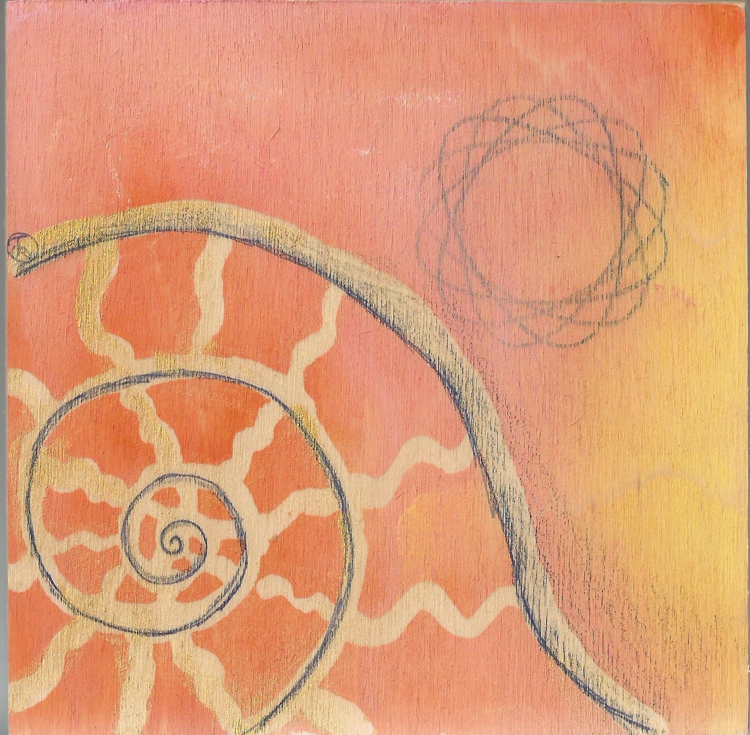 sm ammonite warm.jpg
