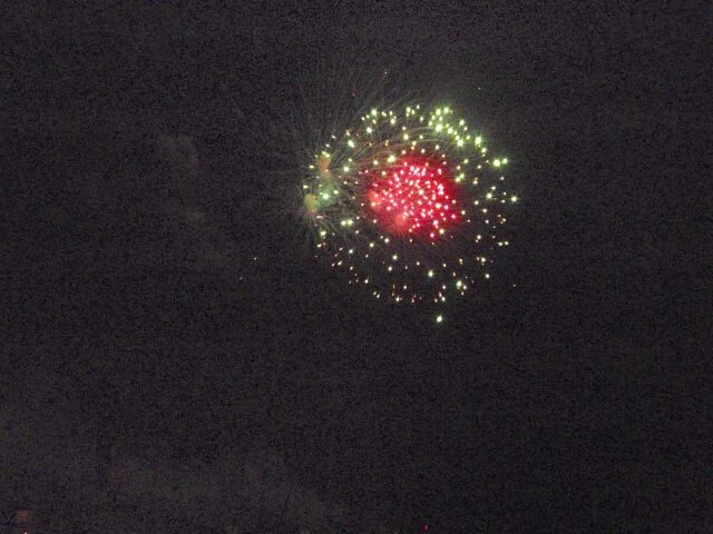 P8210082b.jpg