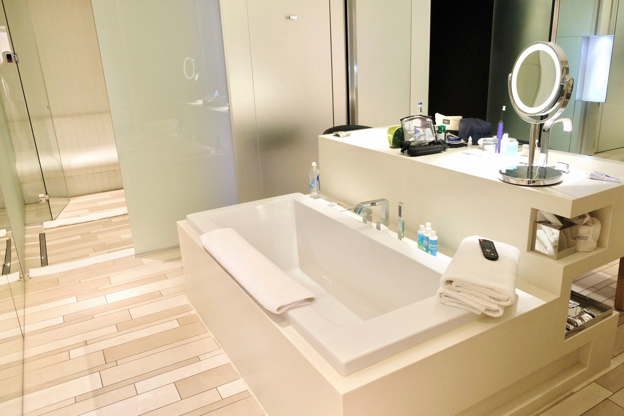 There is a bathrub, a standing shower, and a steam room in the "spa" section of the room. 