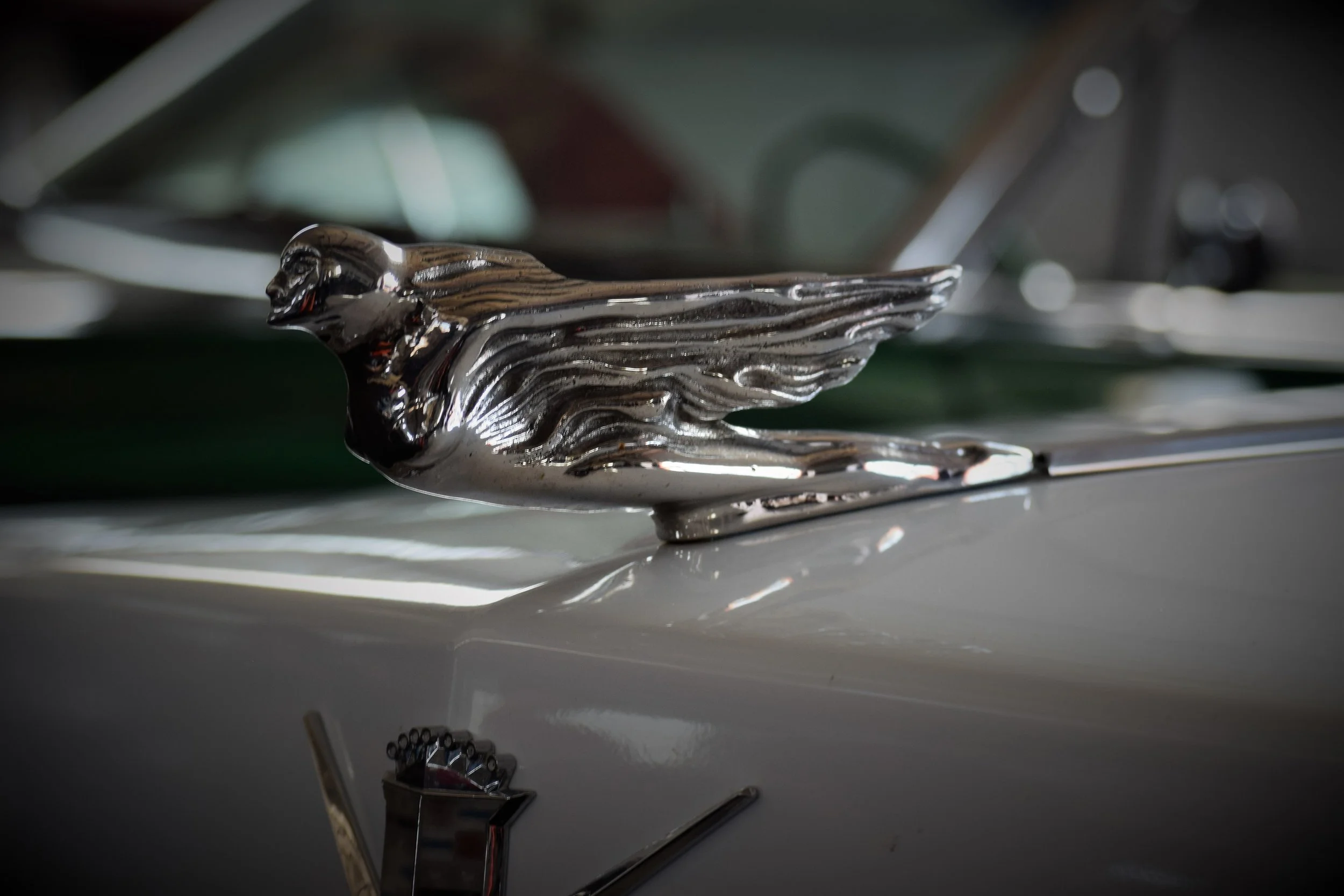 DSC_9171.JPG