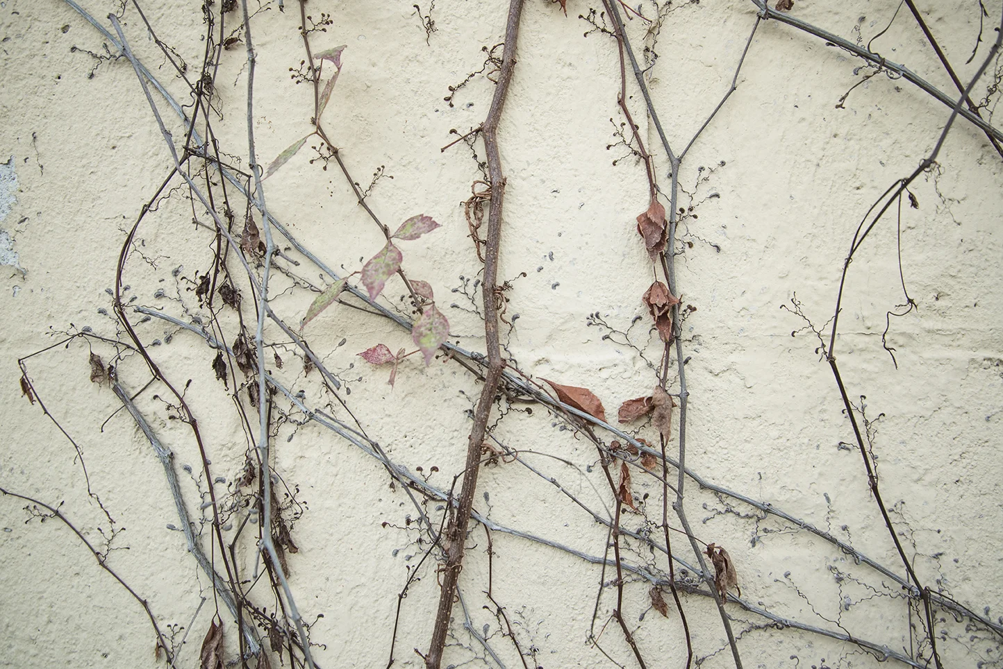 PH316_finalproject_4_lindeman.jpg