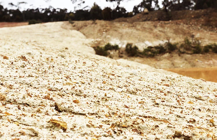 121215+Stawell+Steps+0483 copy.jpg