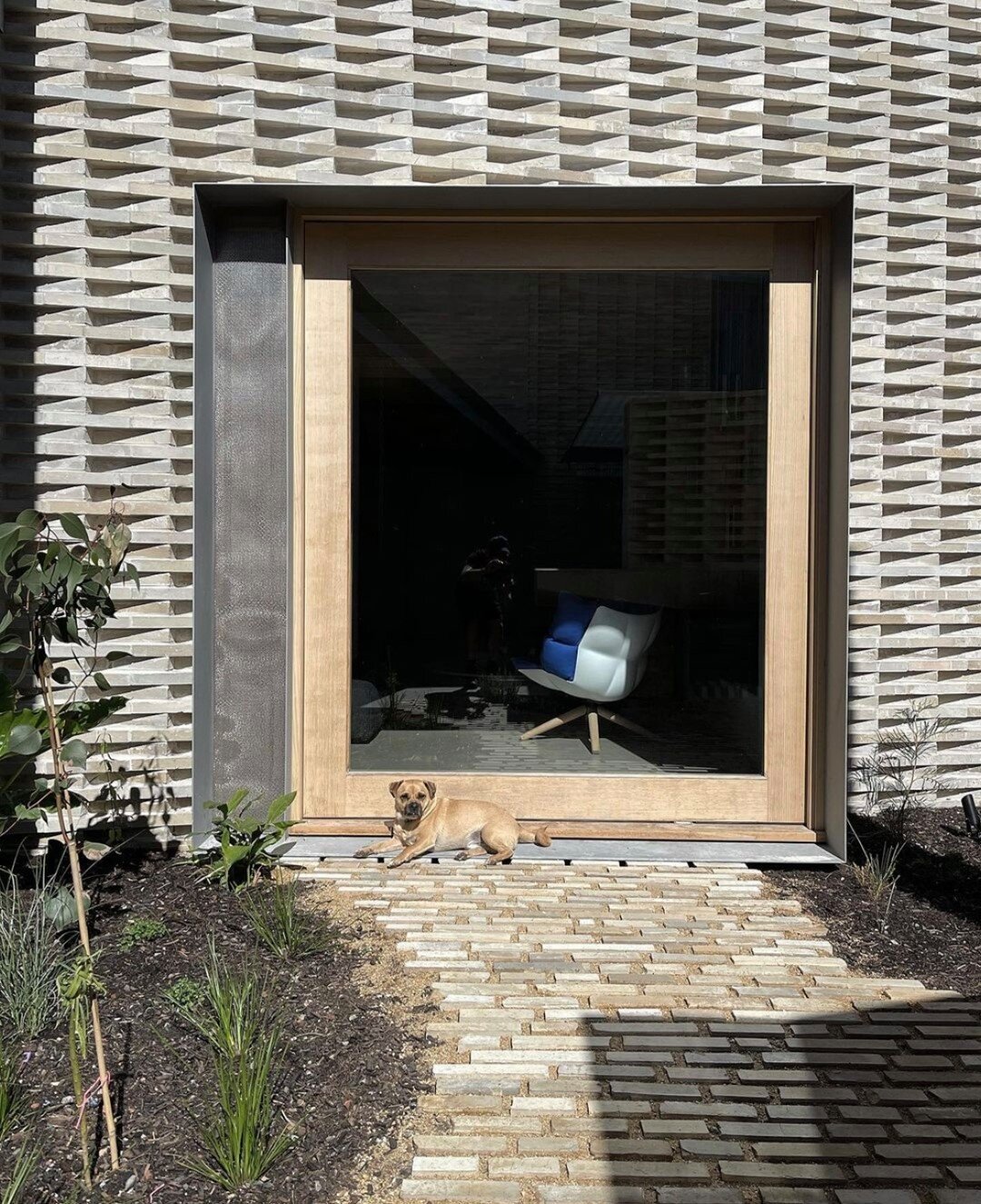 Committed to minimising waste materials at #jcbdividedhouse, designer @jonkclements repurposed leftover Krause brick ends as cobblestone paving (earning the approval of the ever-vigilant guard dog Tex 🐶).

@jcbarchitects @formofbluebrickhouse @bdpro