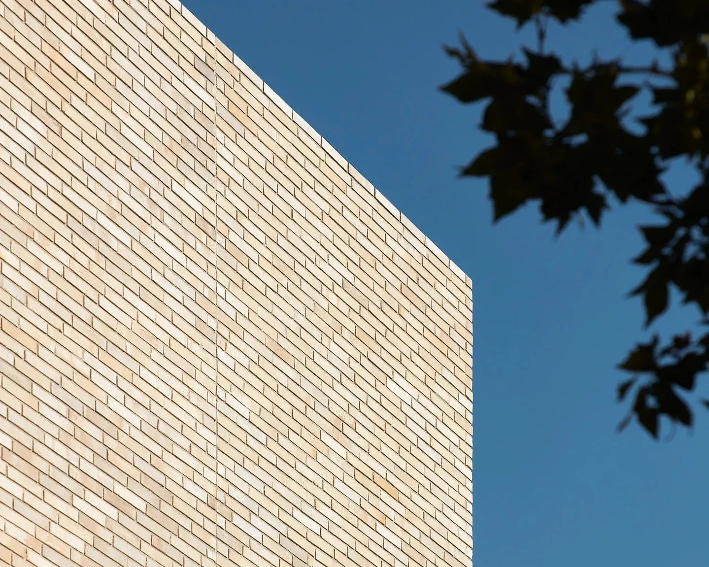 Clean lines, refined texture. The striking facade of the multi-residential Edition in Toorak is brought to life by Krause Emperor Bricks in Ghost. Their slender form creates a subtle linear pattern, beautifully complementing the home's modern design 