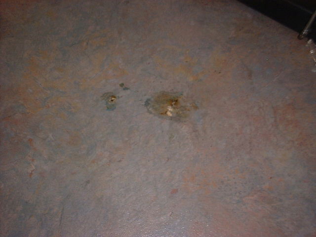 Before - Heat Blister