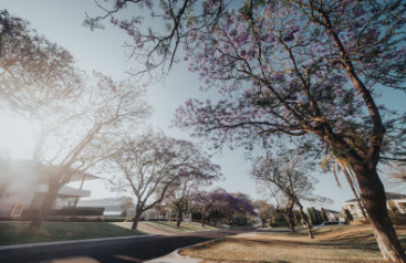 Housing affordability improves for buyers and tenants in WA17/01/18 Source: REIWA