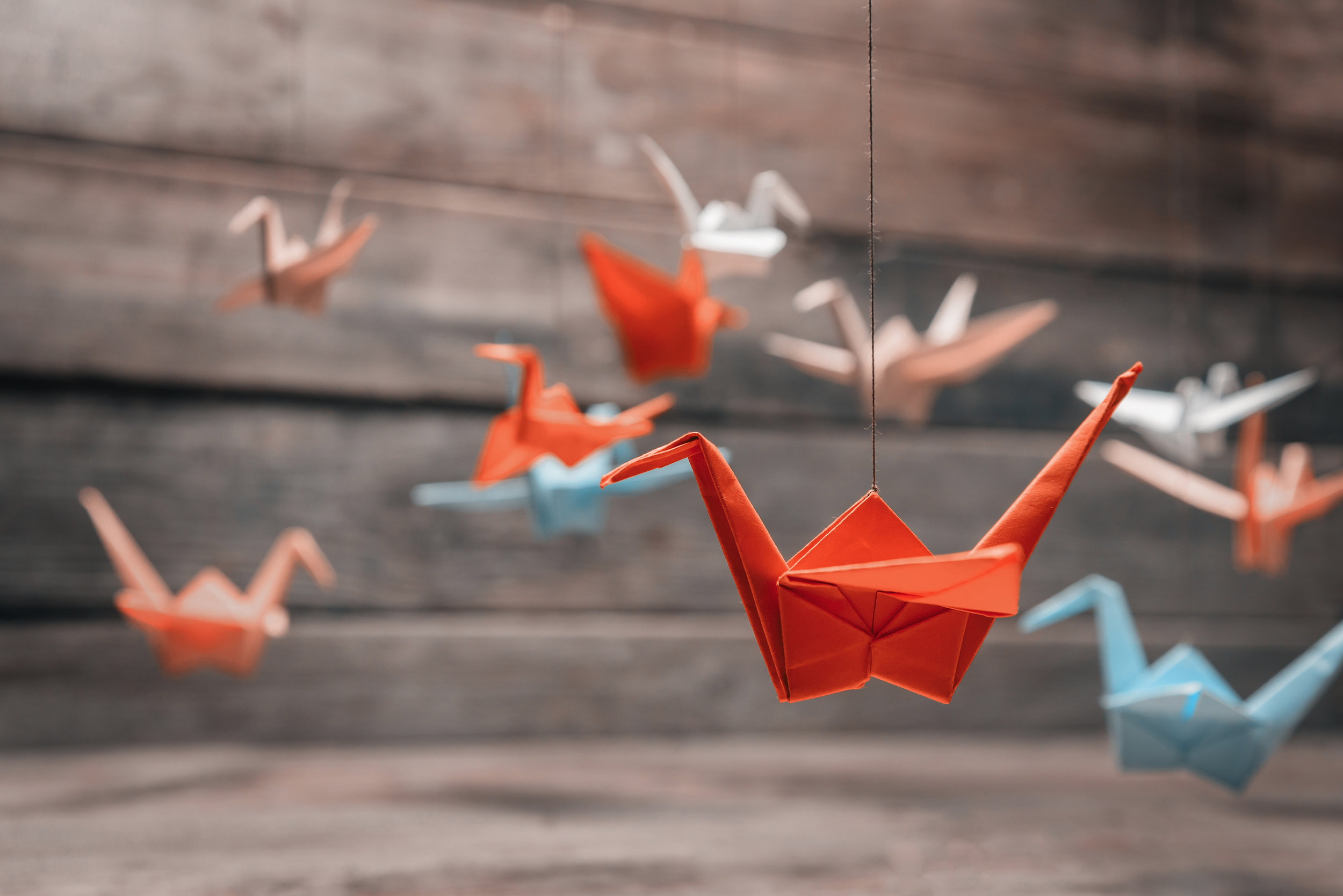 Origami - Basics