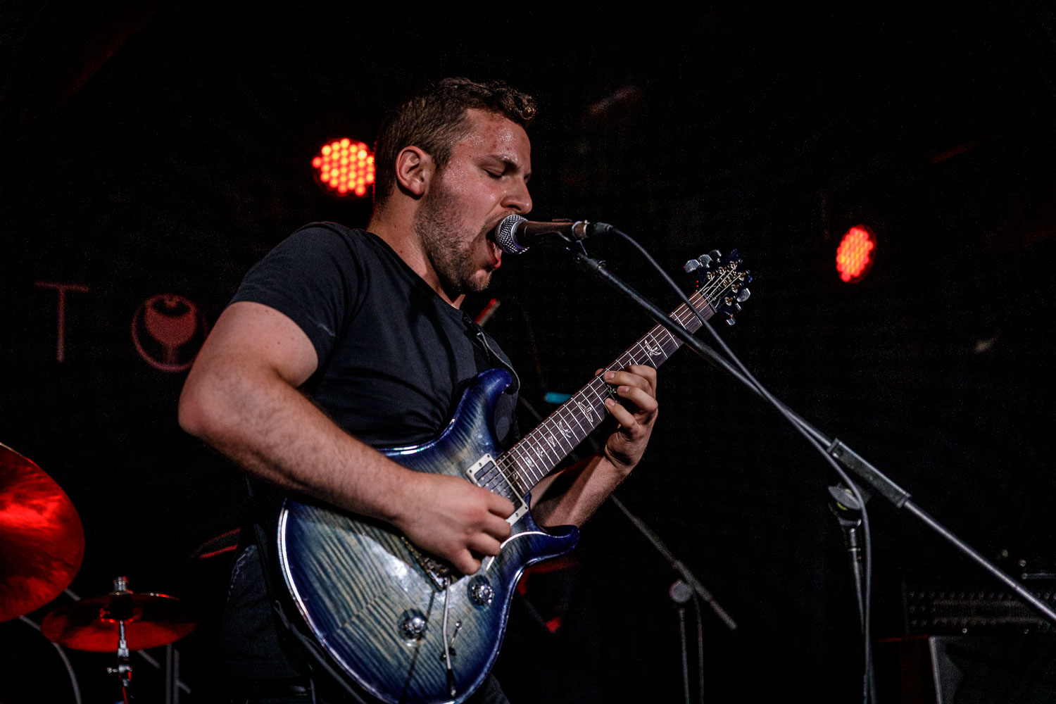 Cryptodira at Academy 2 in Manchester