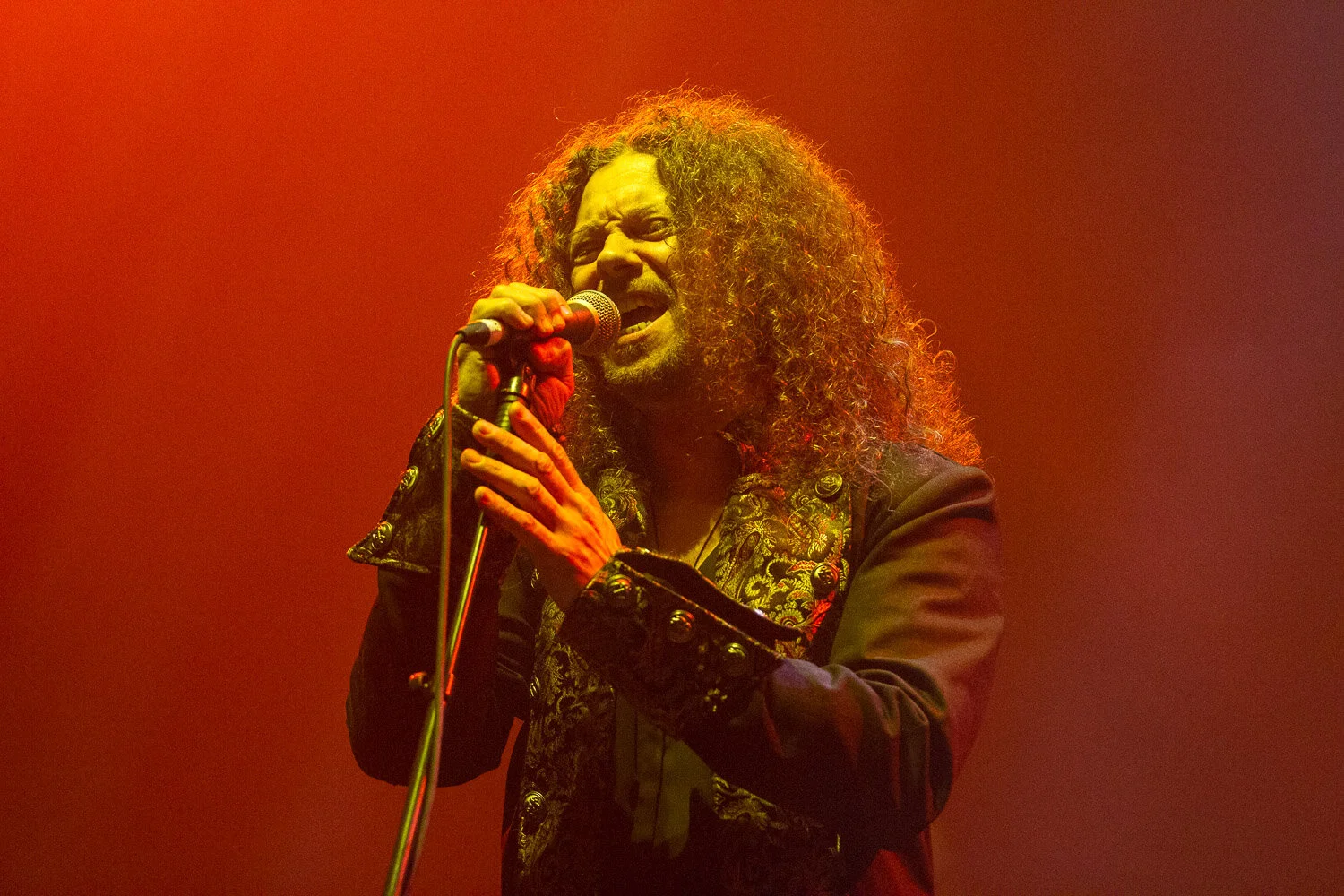 Cats In Space at the O2 Apollo in Manchester on March 17th 2017