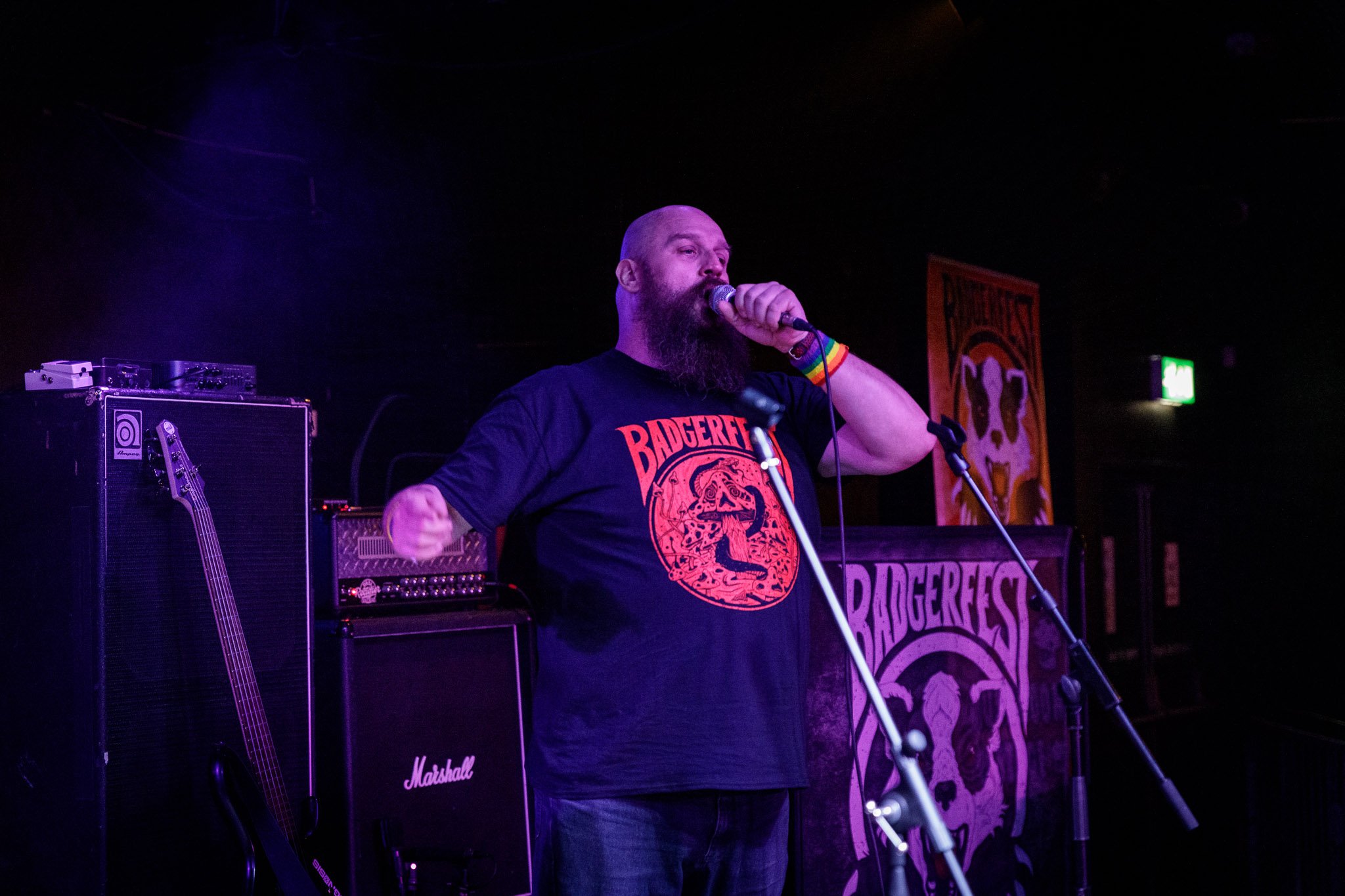 Badger And The Mushrooms at the Badgerfest at the Bread Shed in 