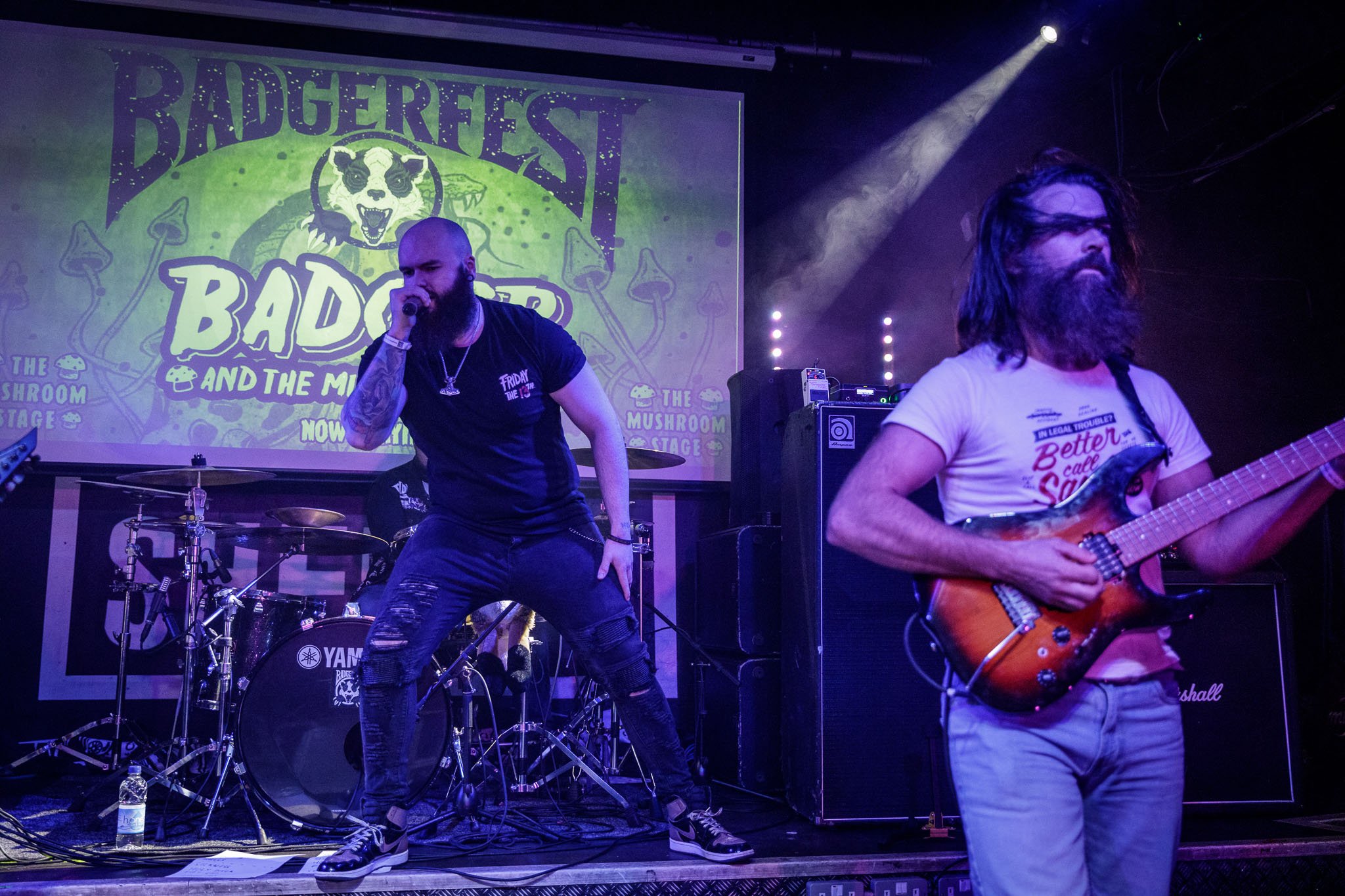 Badger And The Mushrooms at the Badgerfest at the Bread Shed in 