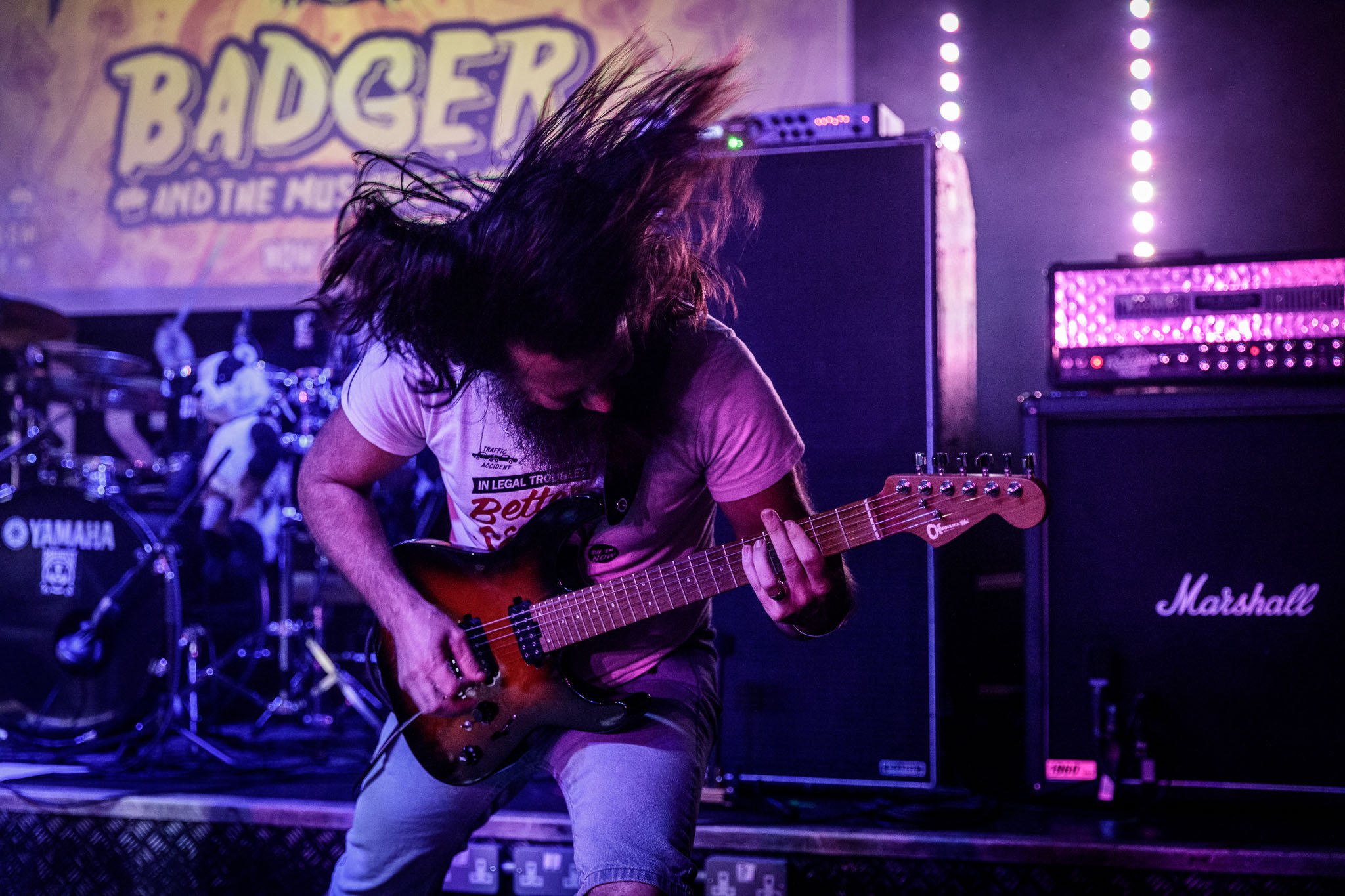 Badger And The Mushrooms at the Badgerfest at the Bread Shed in 