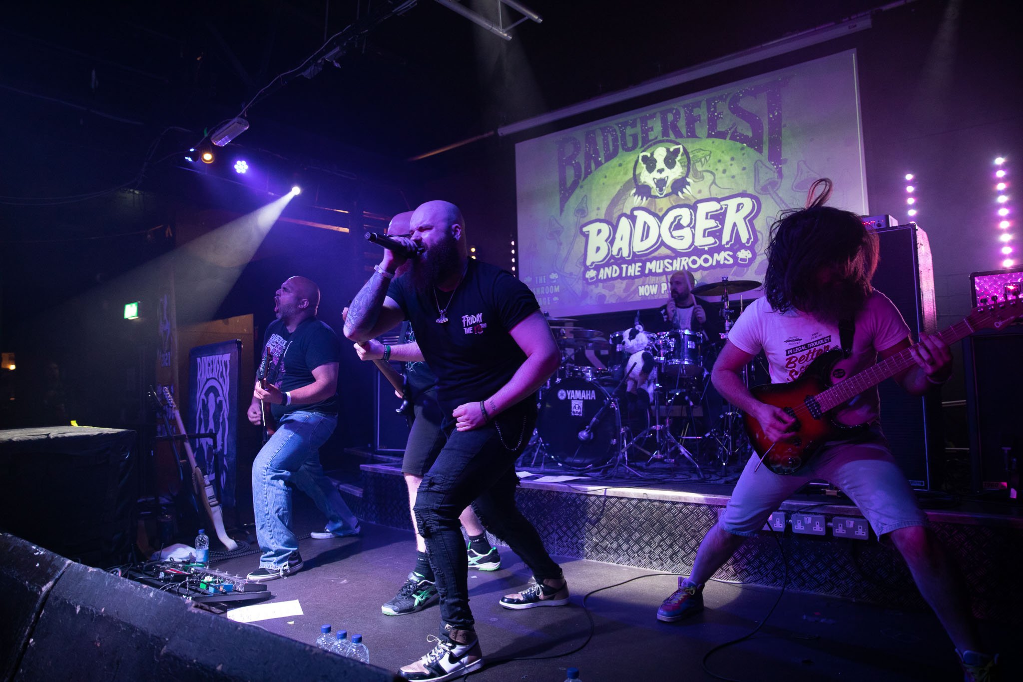 Badger And The Mushrooms at the Badgerfest at the Bread Shed in 