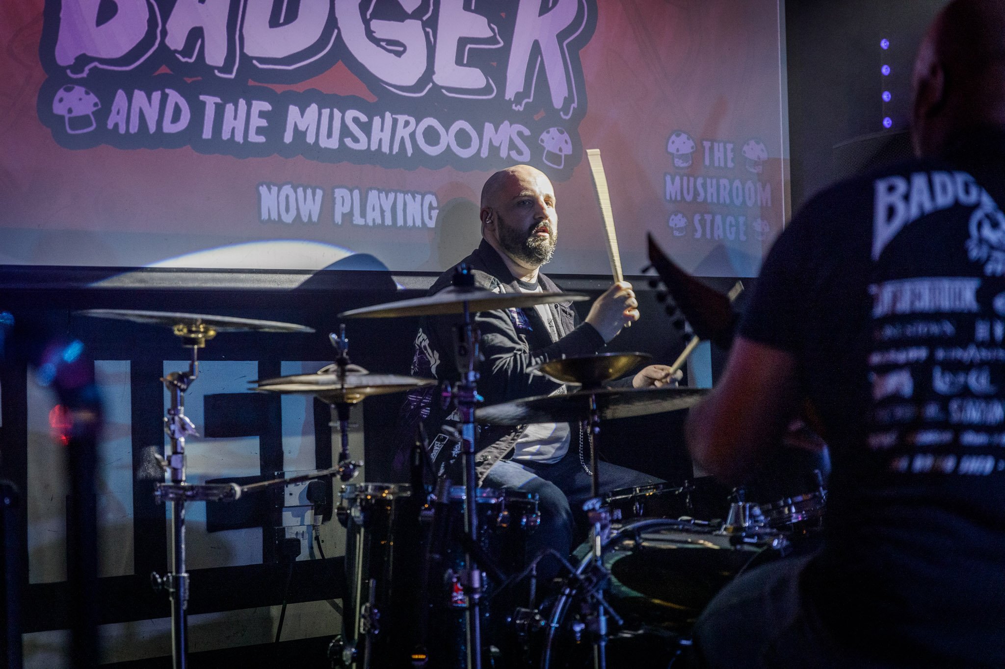 Badger And The Mushrooms at the Badgerfest at the Bread Shed in 