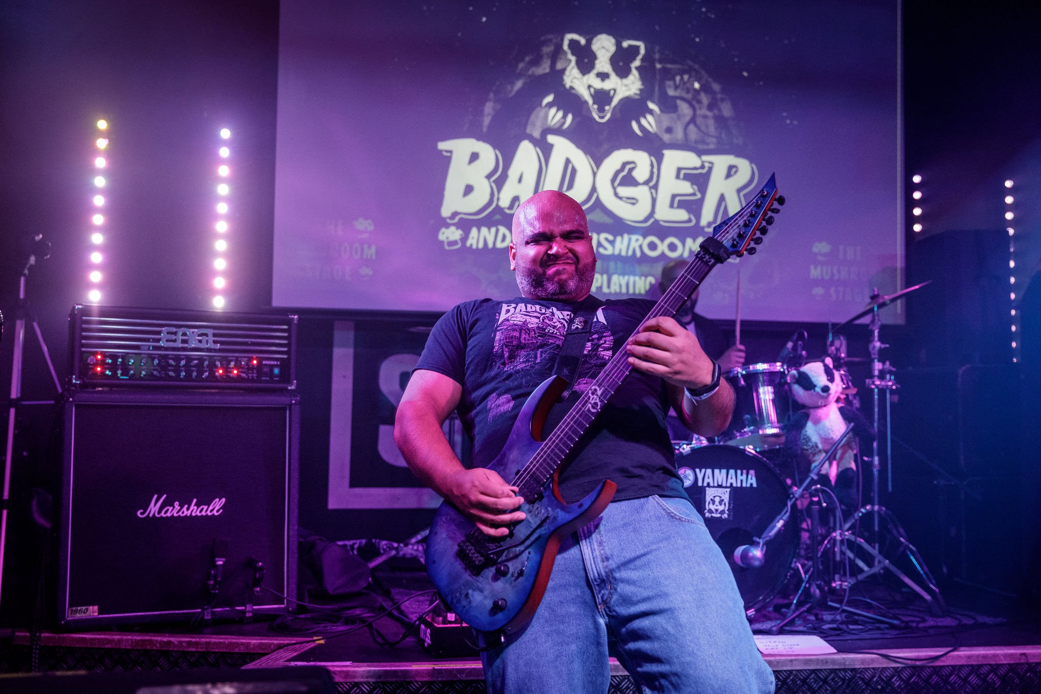 Badger And The Mushrooms at the Badgerfest at the Bread Shed in 