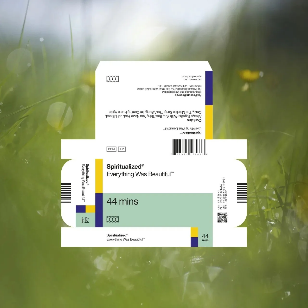 66.  Spiritualized - "Everything Was Beautiful"