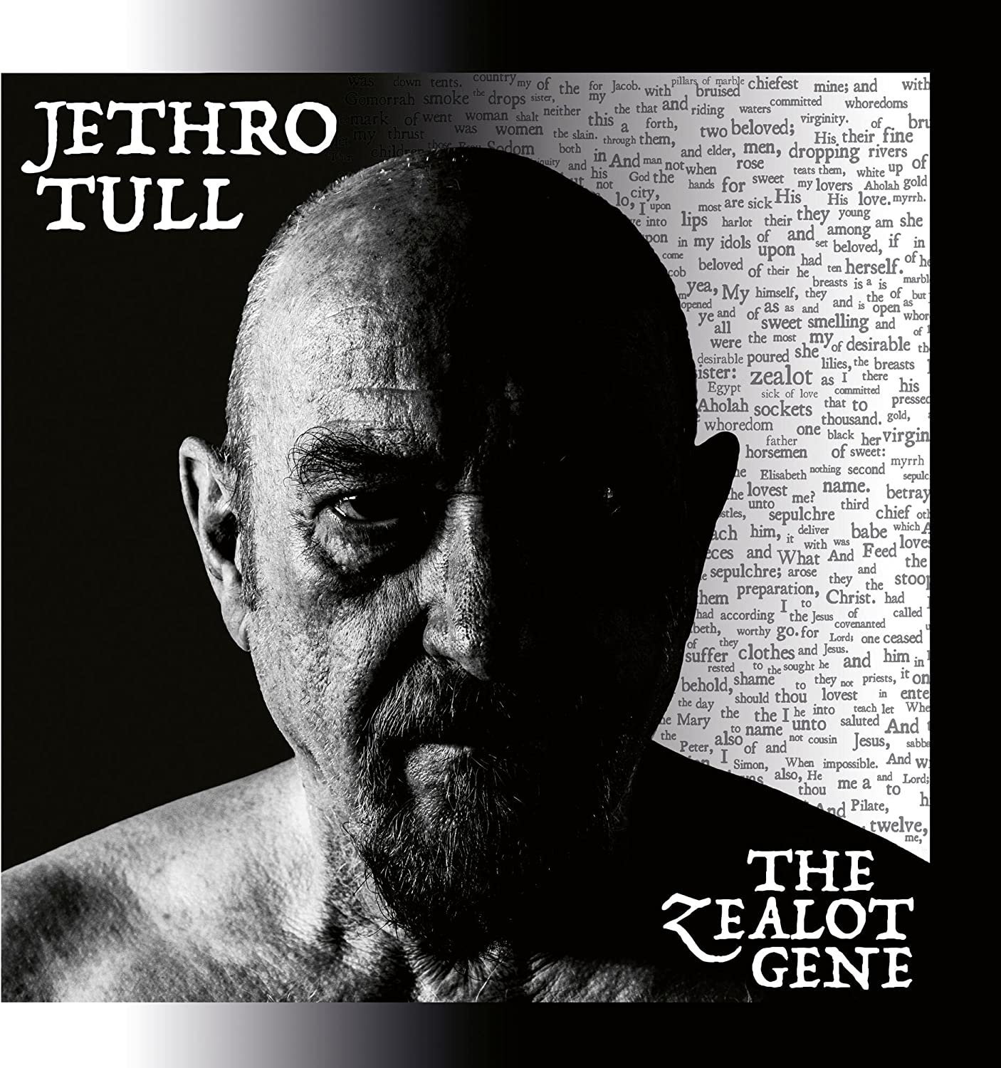 Jethro Tull - "The Zealot Gene" 