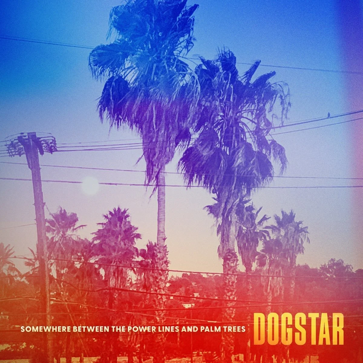 77. Dogstar - "Somewhere Between the Power Lines and Palm Trees"