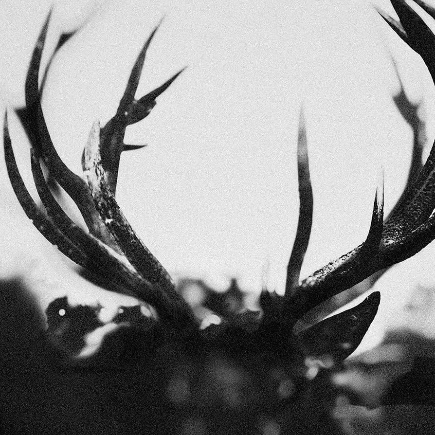 8. Ihsahn - "Ihsahn"