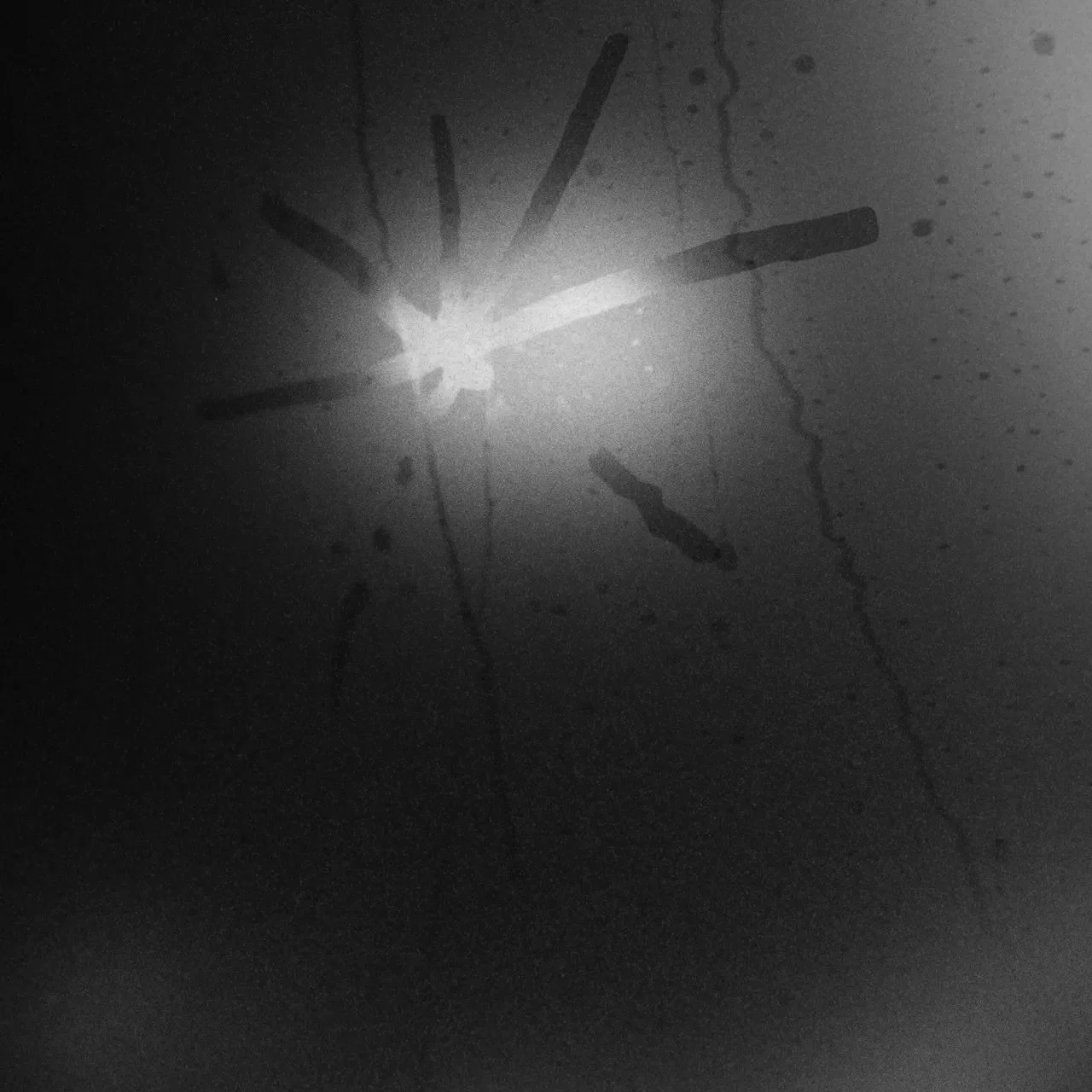 46. Touché Amoré - "Spiral in a Straight Line"