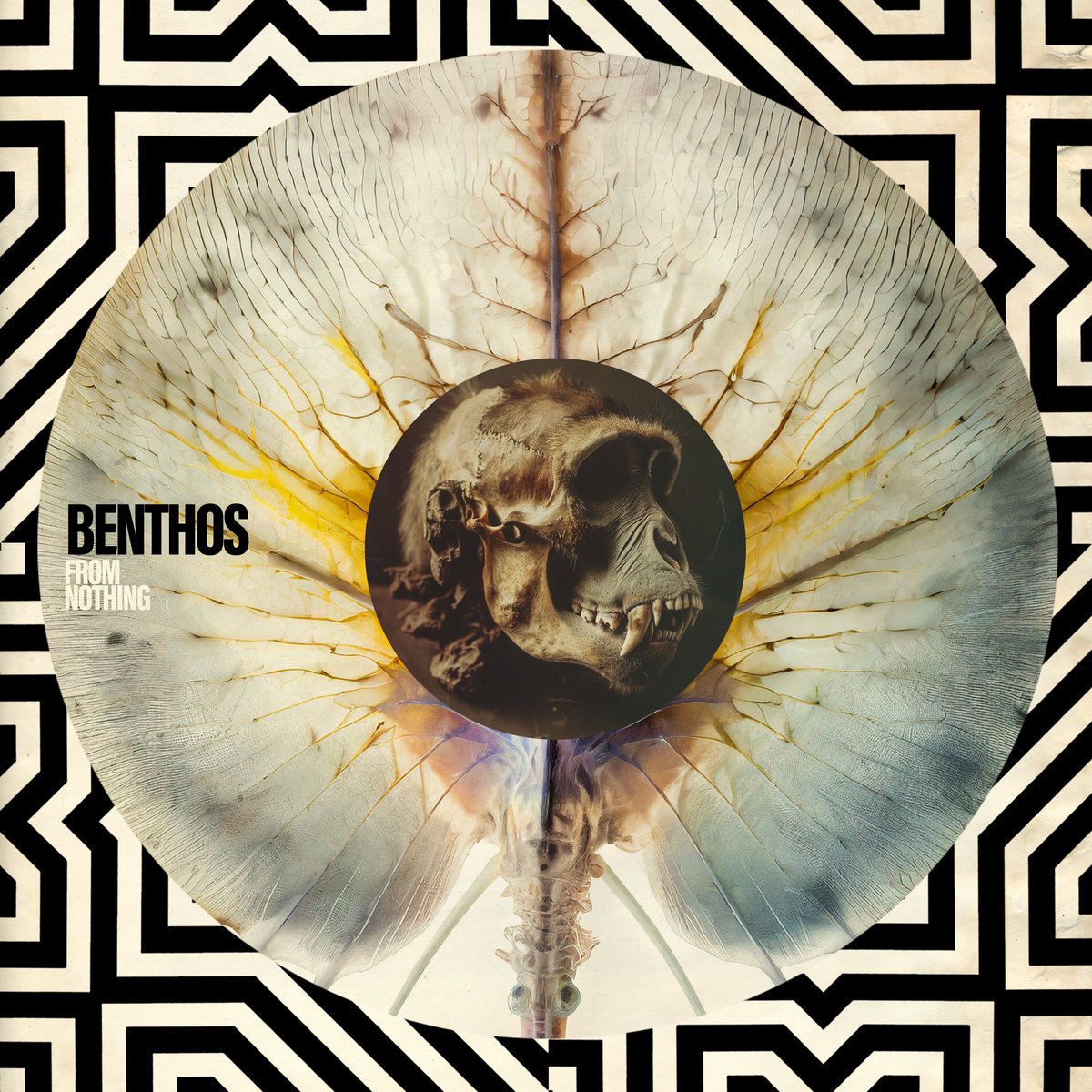 18. Benthos - "From Nothing"