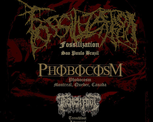 Fossilization @ Archive, Liverpool