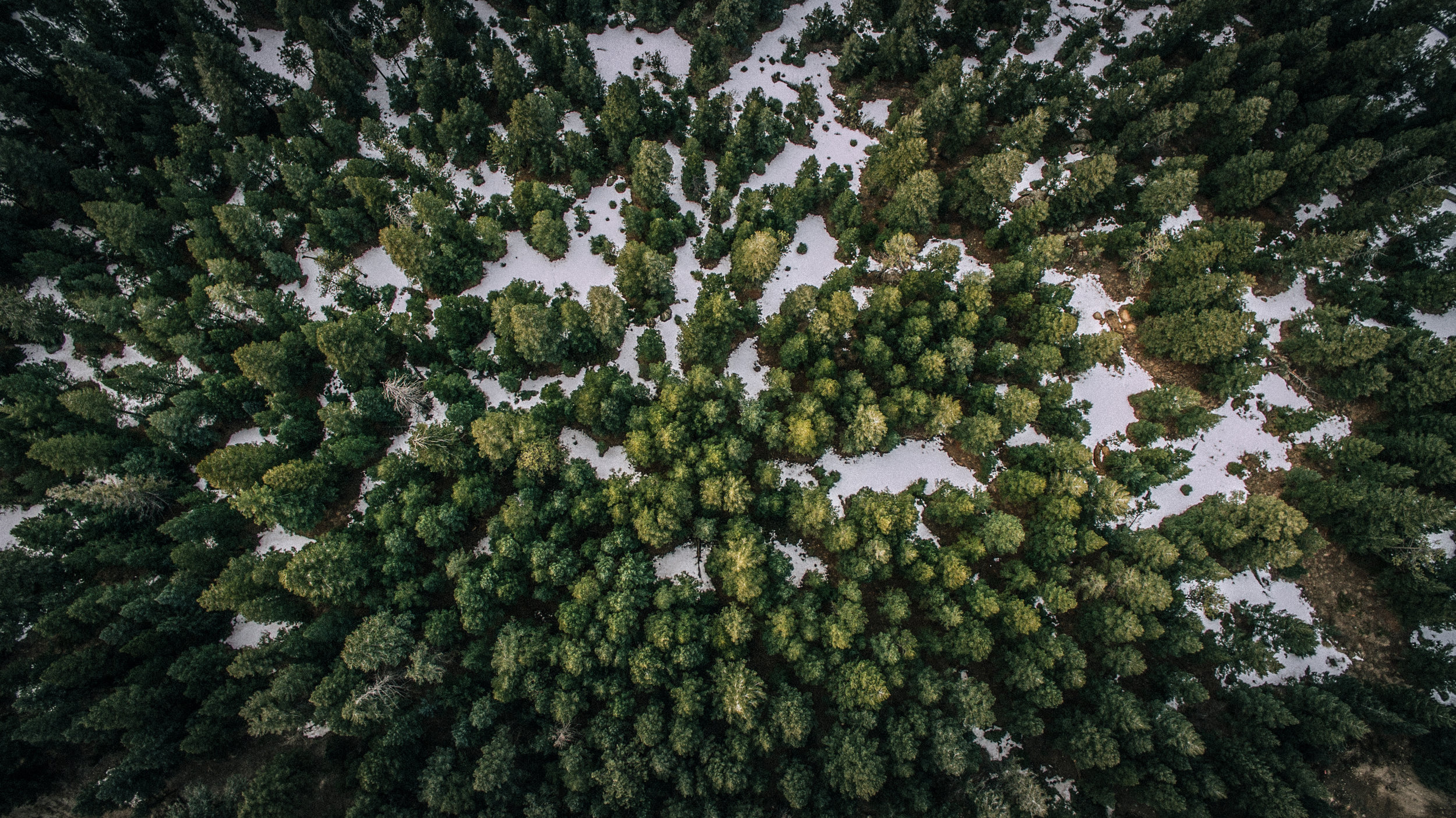 DJI_0134-4.jpg