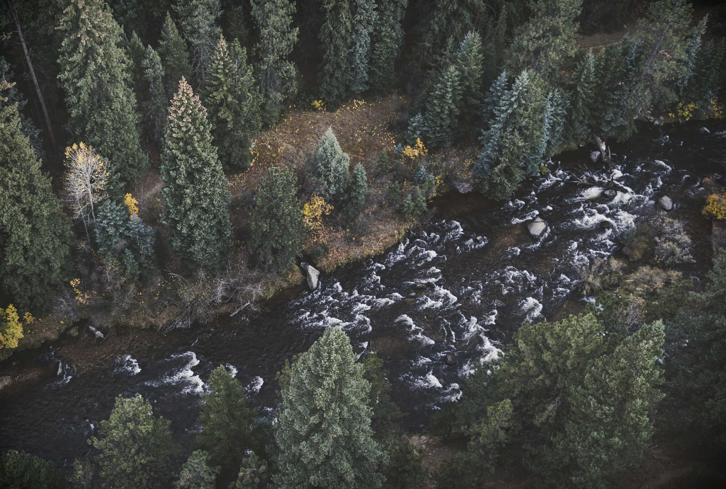 DJI_0196-2.jpg