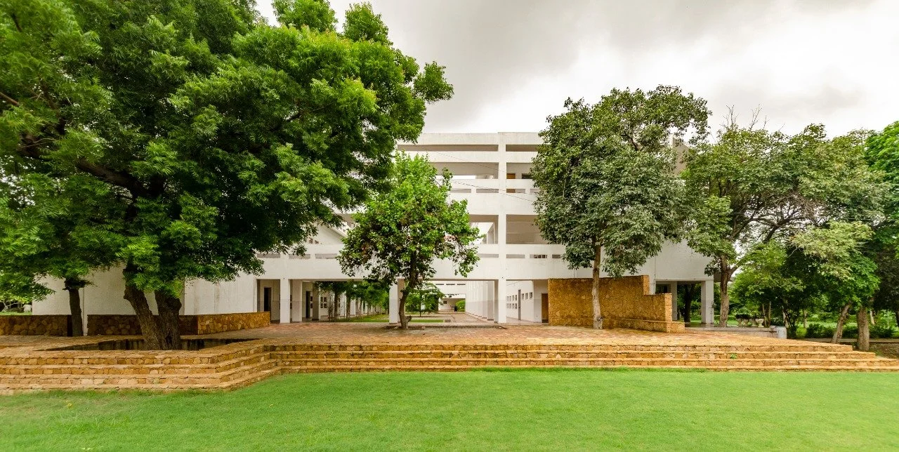  Amphitheatre stage created around existing trees 