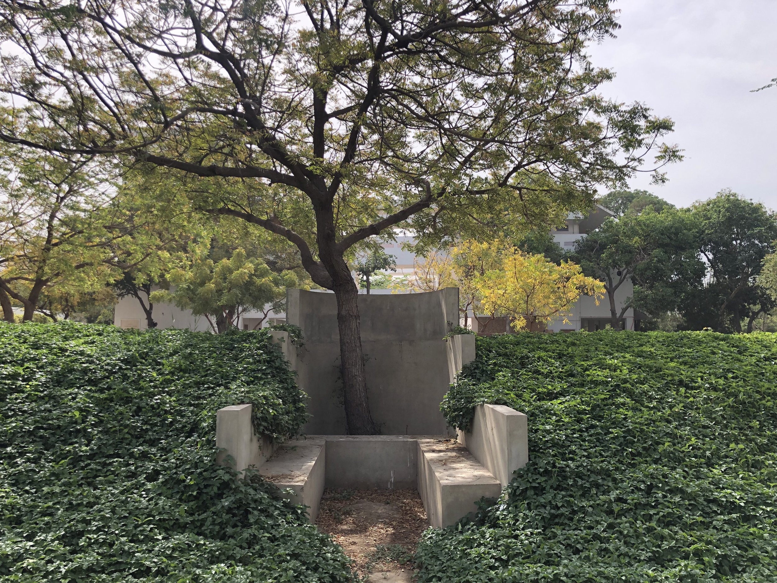 Seating alcoves nested in the berm of Amphitheatre