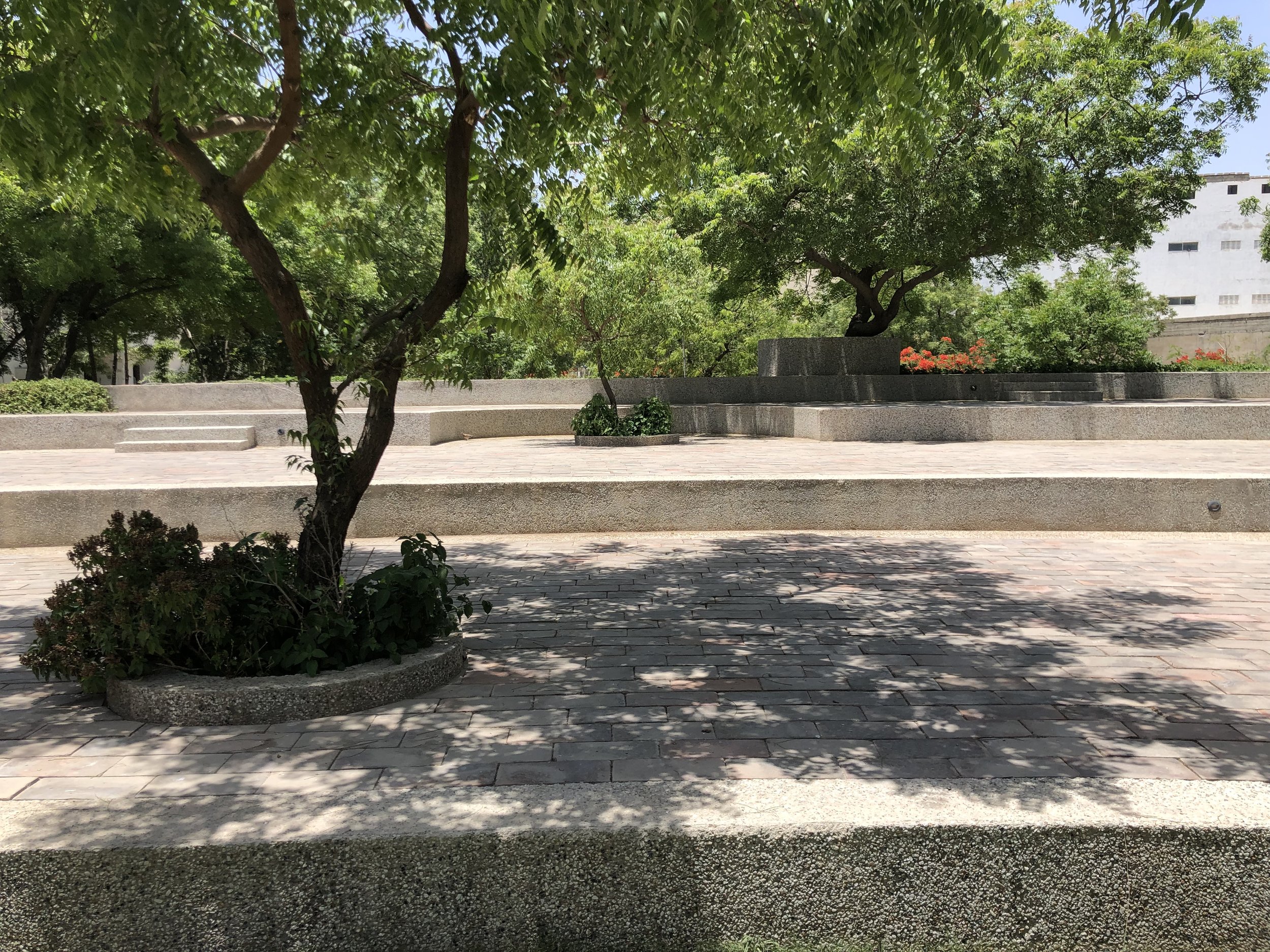 Amphitheatre steps in washed terrazzo accommodate existing trees as well as new ones