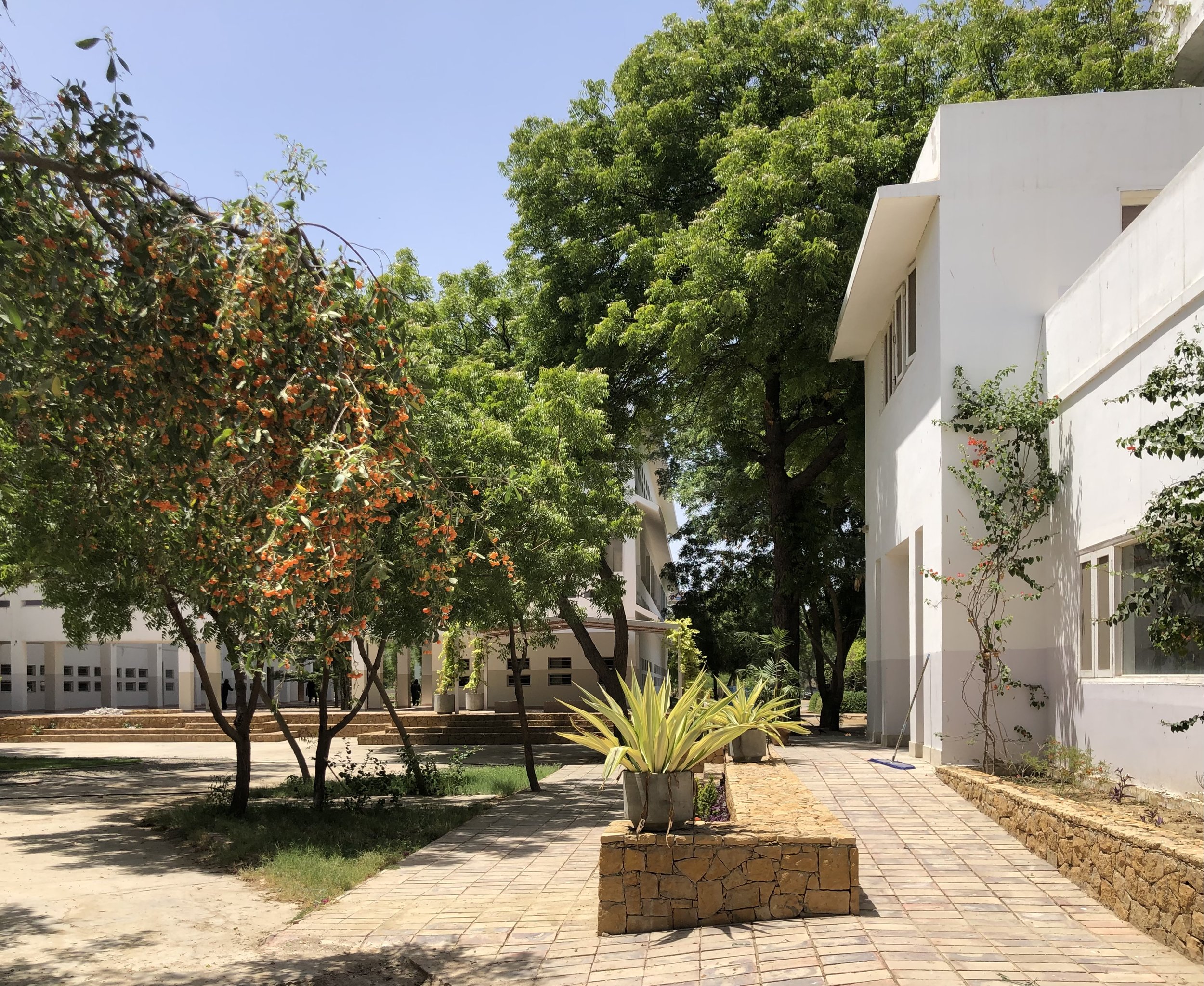 Entrance to the Library