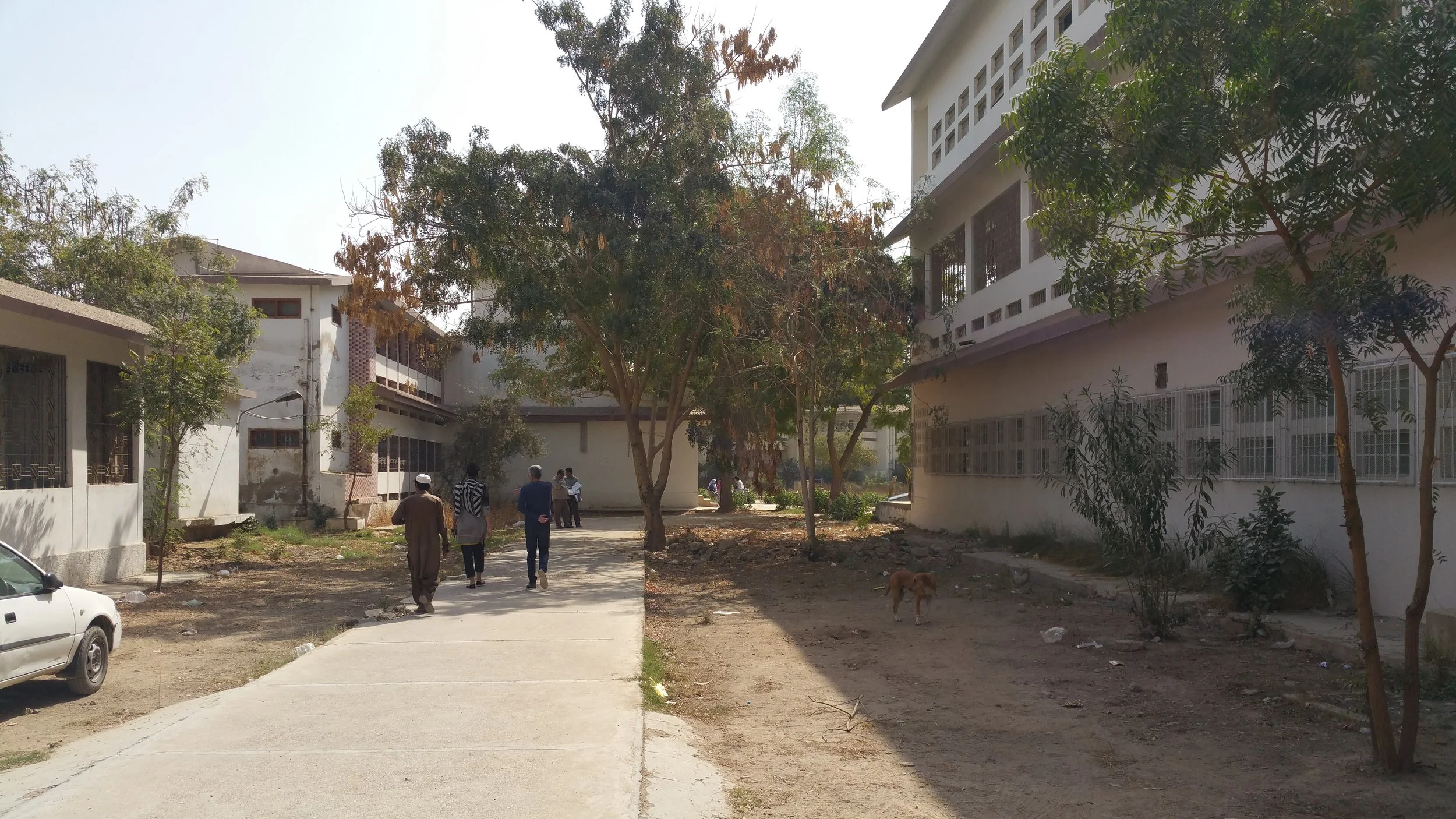  Pathways before renovation 