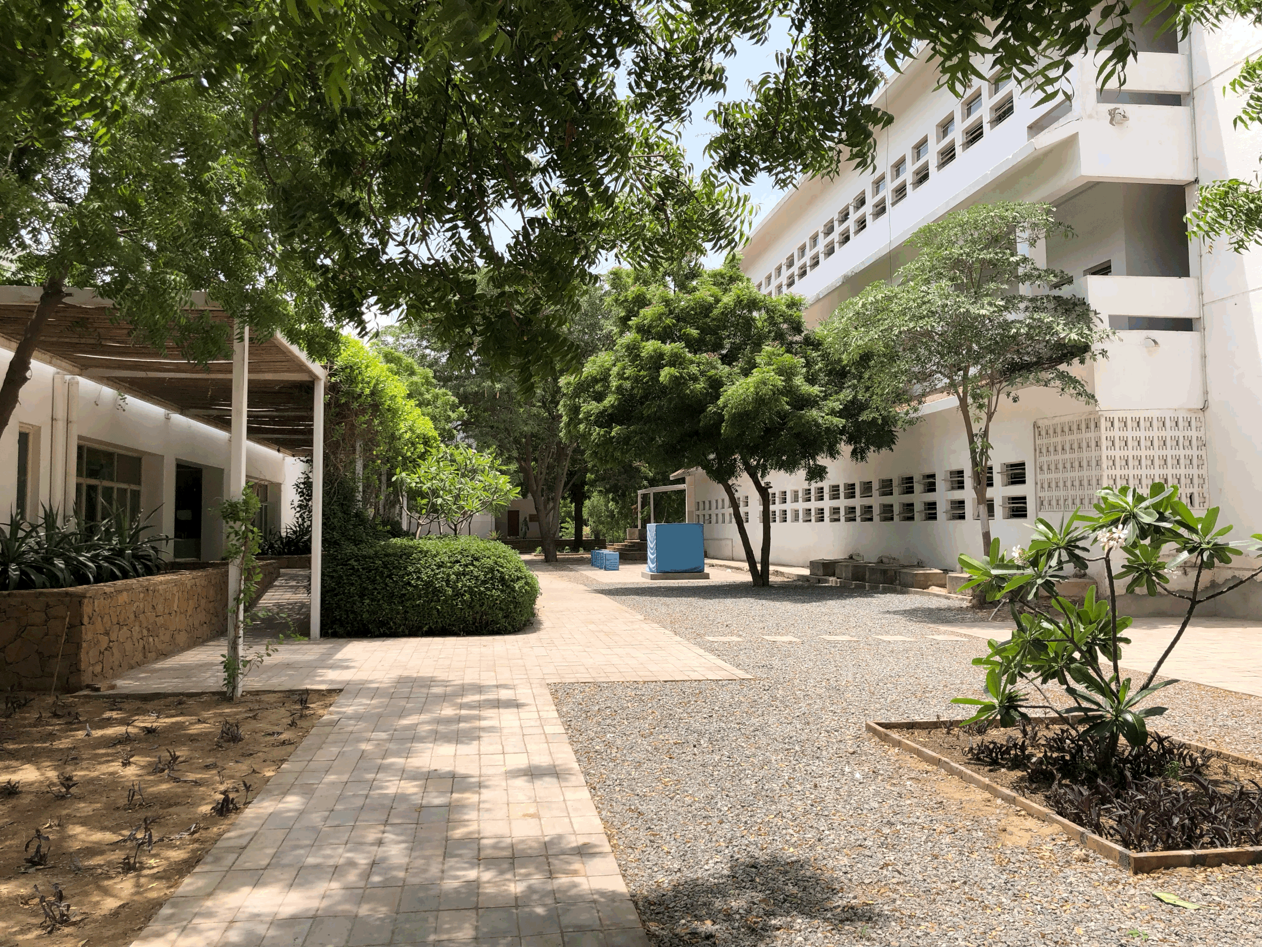 Renovated pathways
