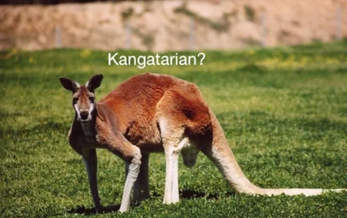 Is that a real word?