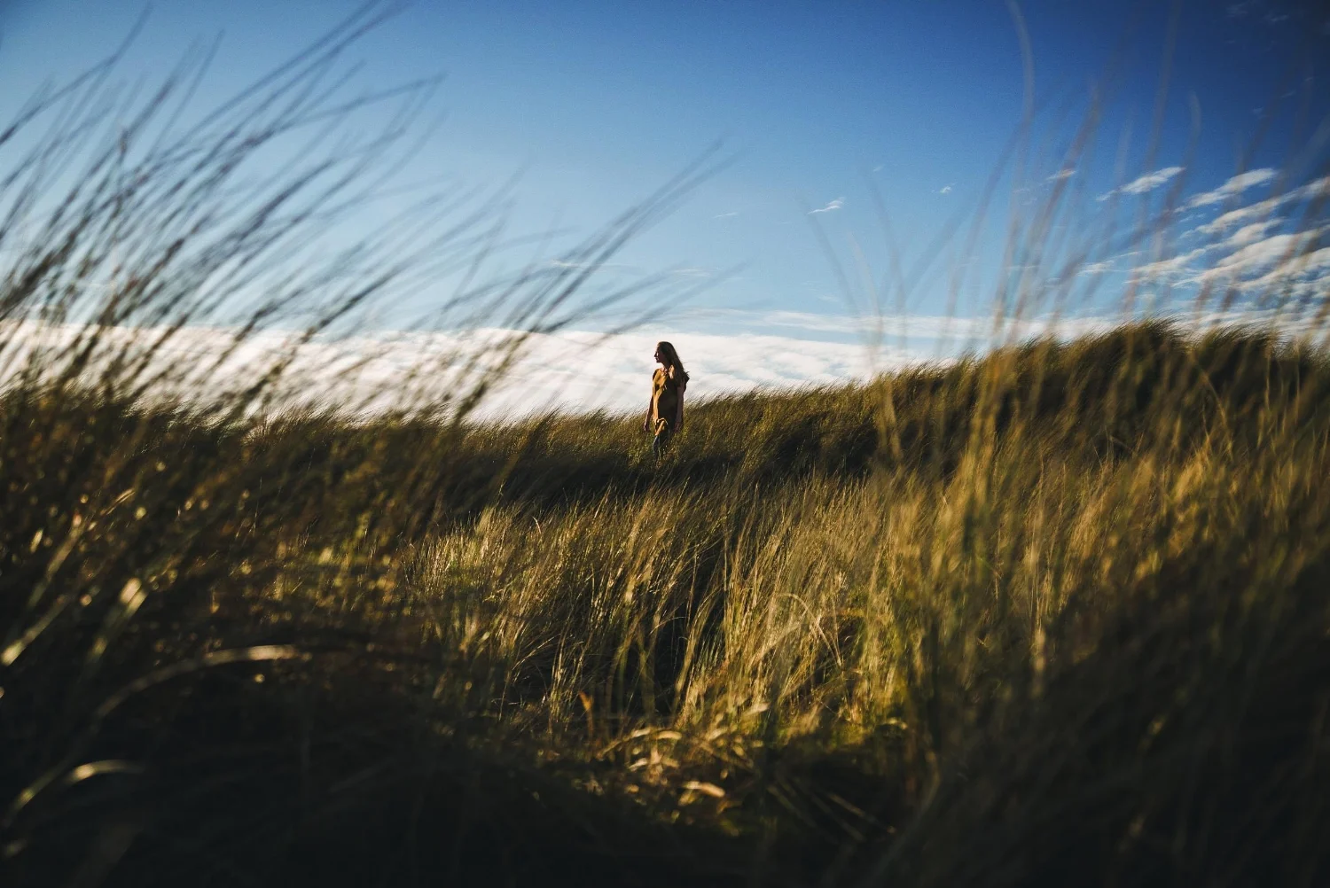A walk on the "Wild Atlantic Side".