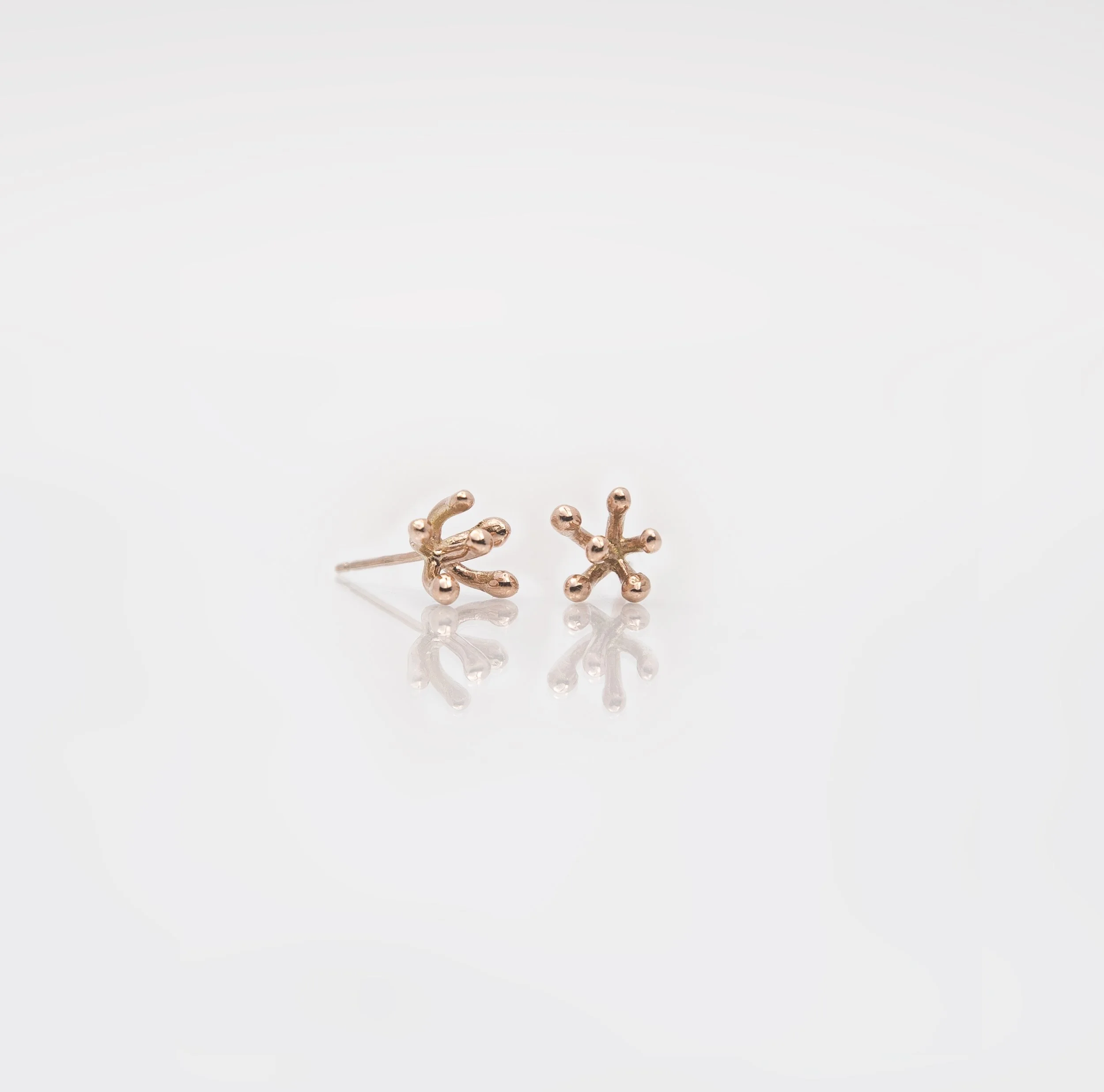 NEA2b.jpg