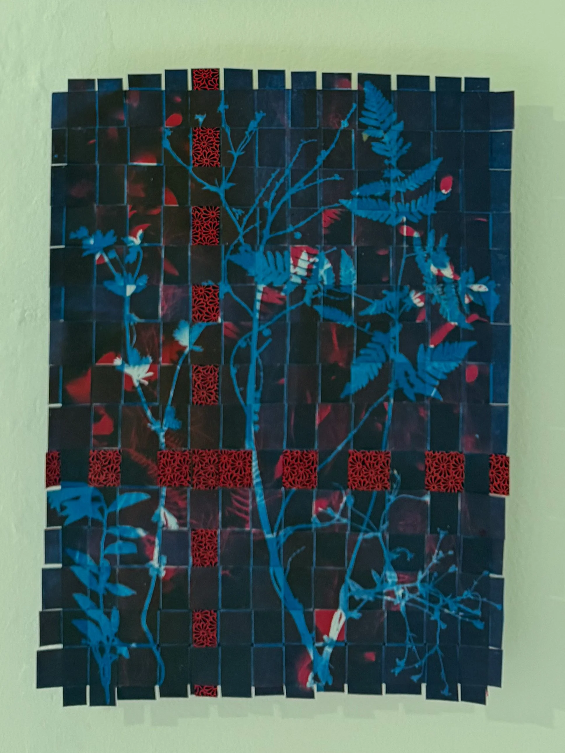 Untitled 009 - SSS