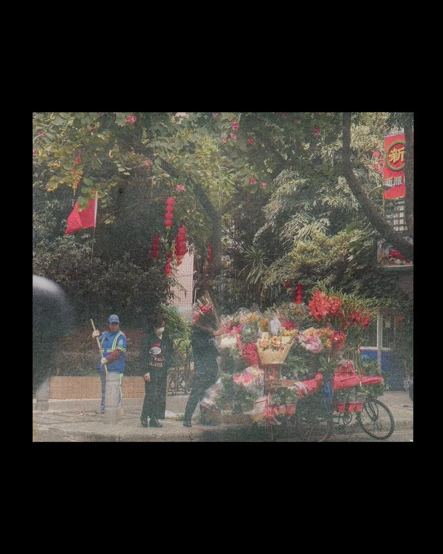 B6.jpg