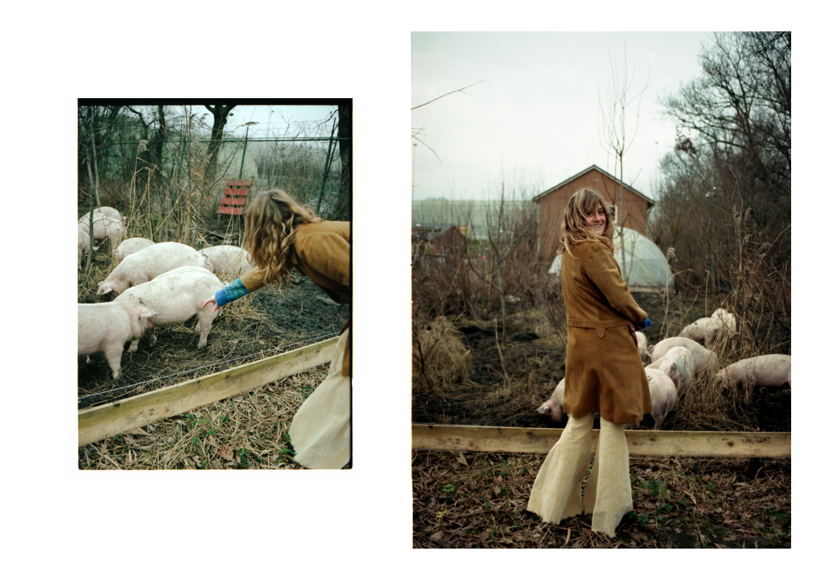 Rosa - friends on film by Bibian Bingen
