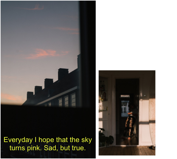 q5.1.png