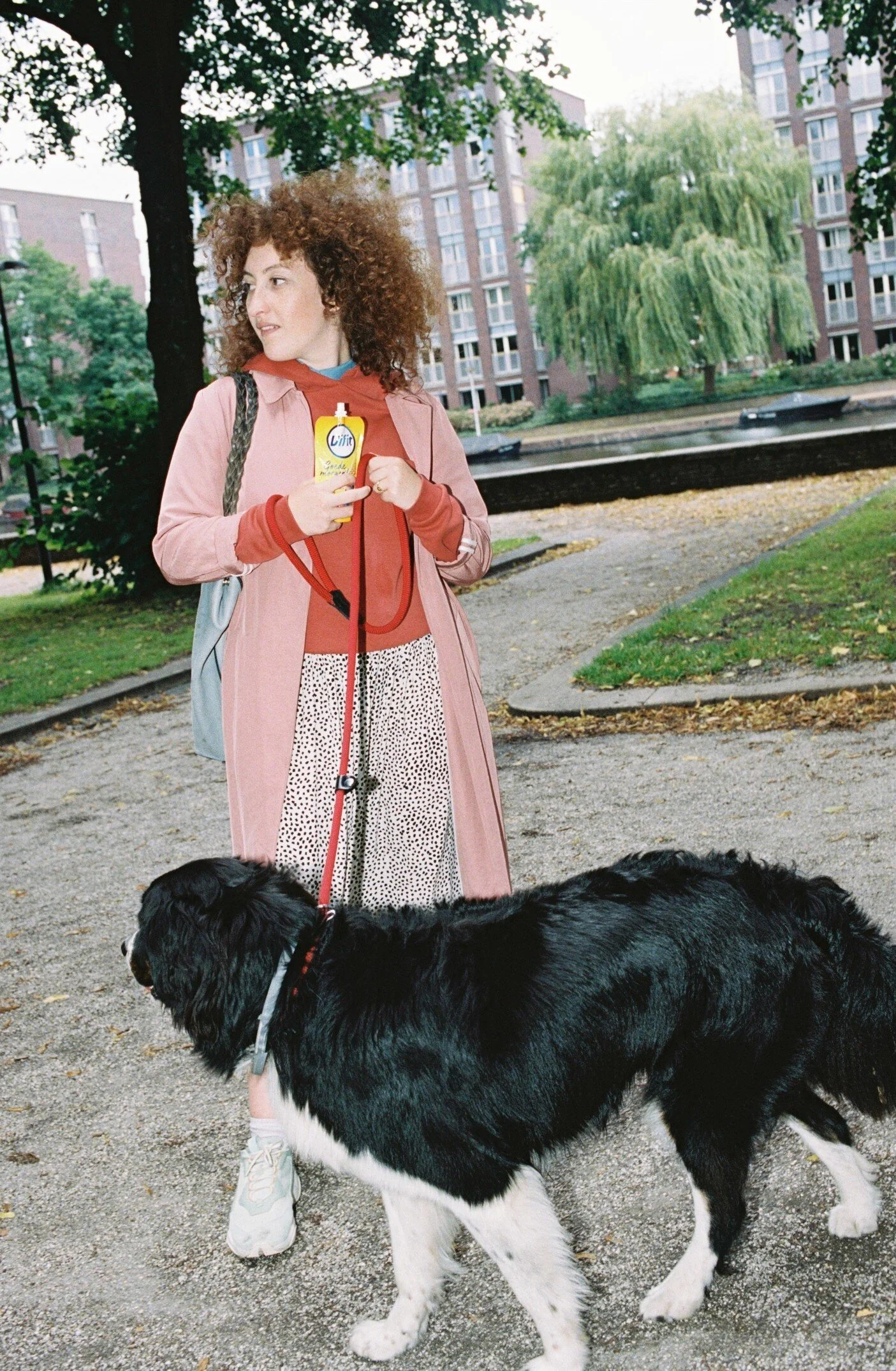 Vifit en door stories by Bibian Bingen