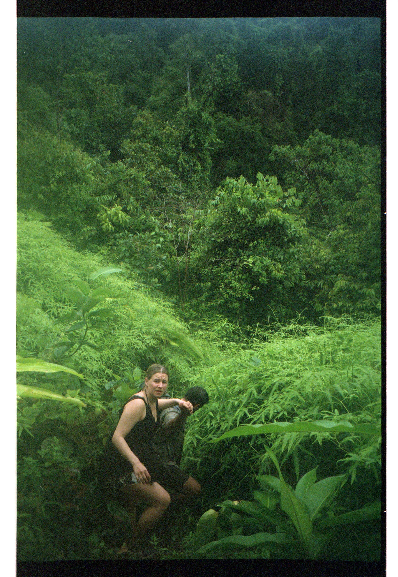 costa rica jungle life by Bibian Bingen