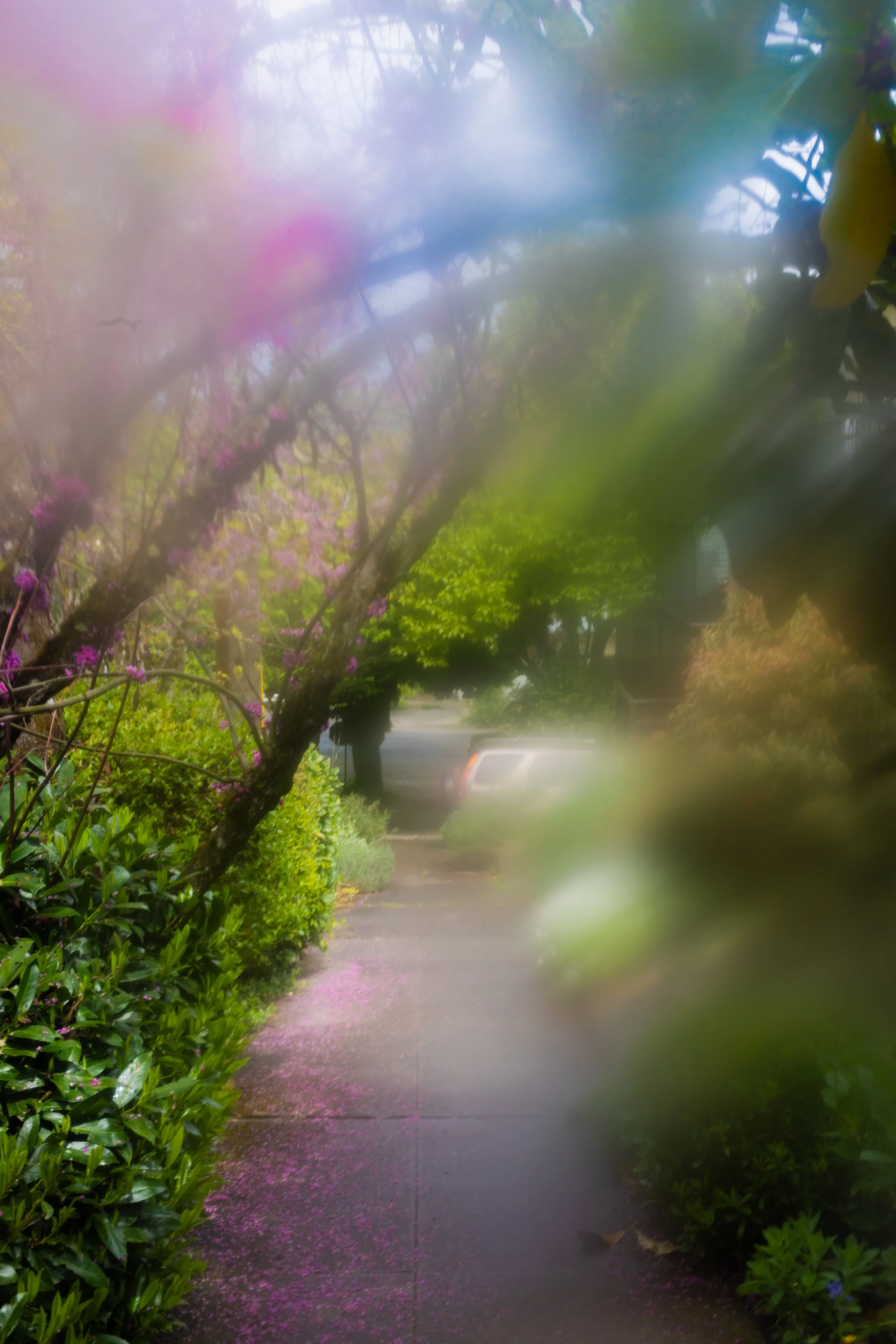 3W0A4175.jpg