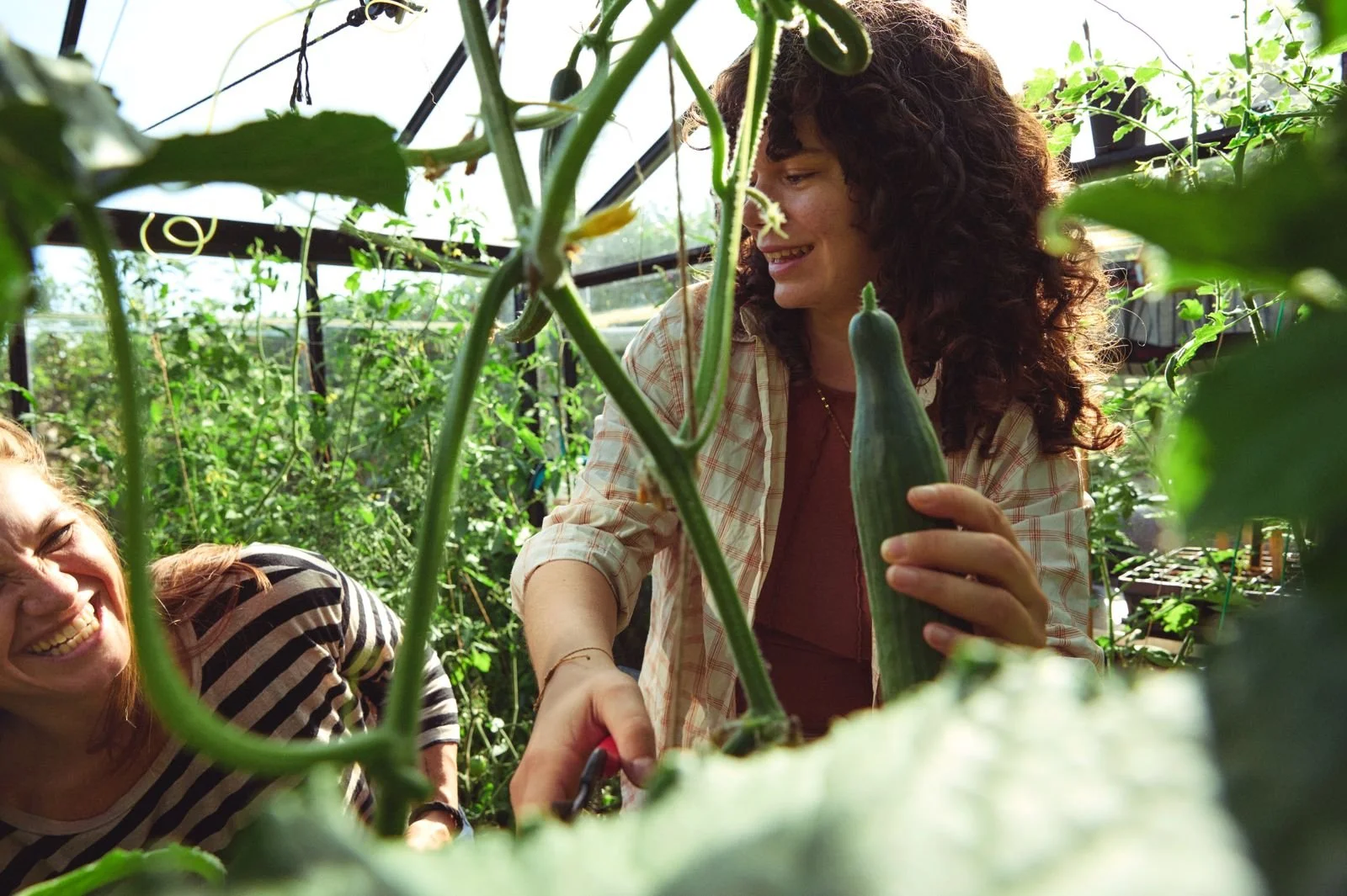 Brandcampaign Vandebron