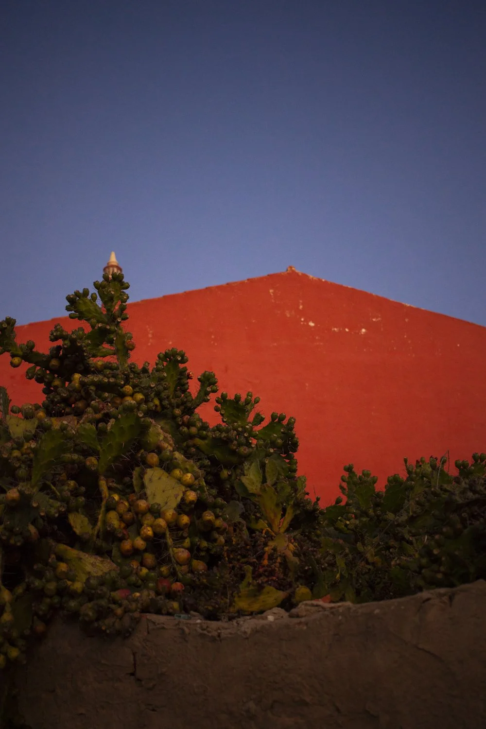 snapshot in portugal by bibian bingen