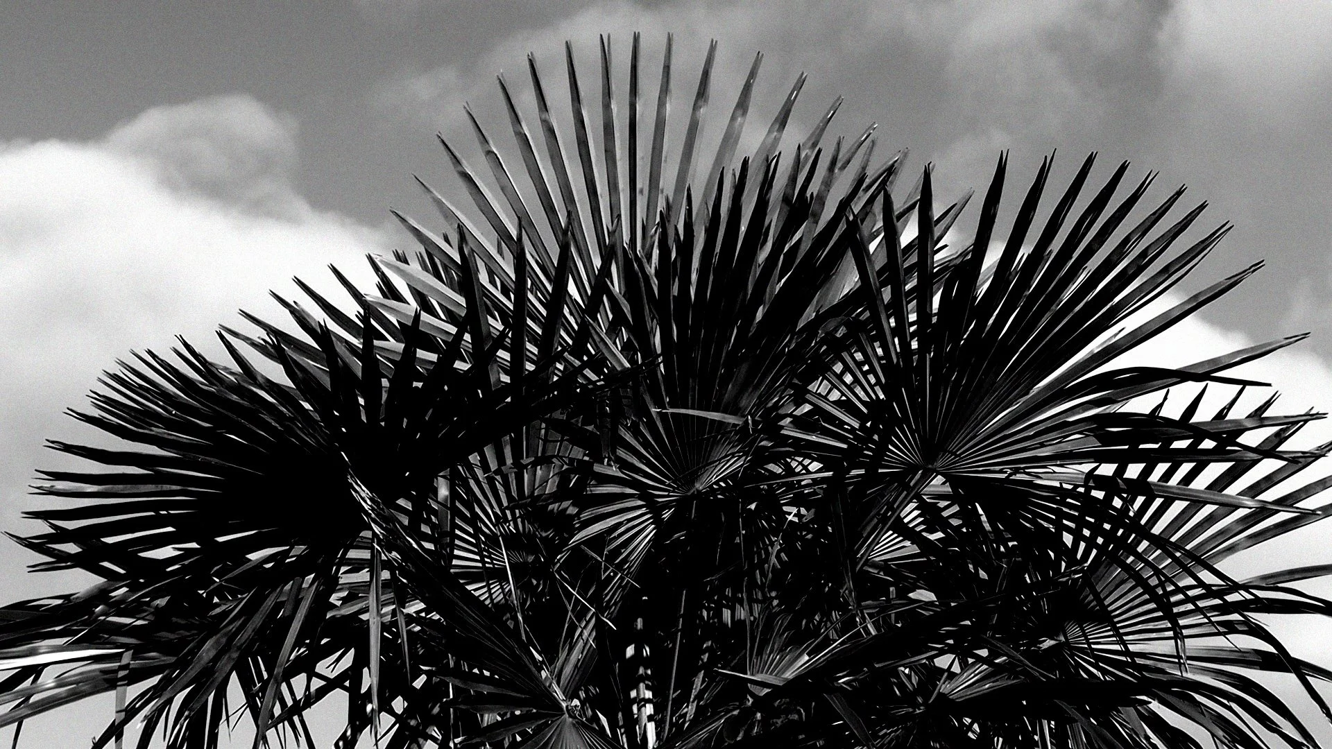 DEF workspace 1 dec.00_03_15_10.Still029.JPG