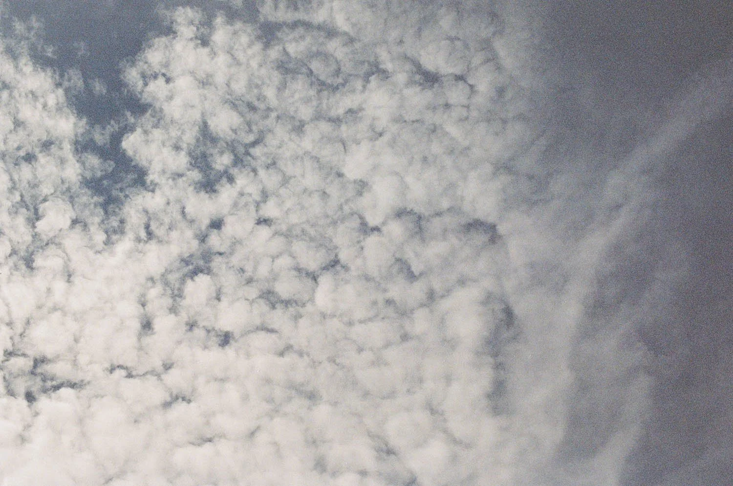 000110460001 kopie.jpg