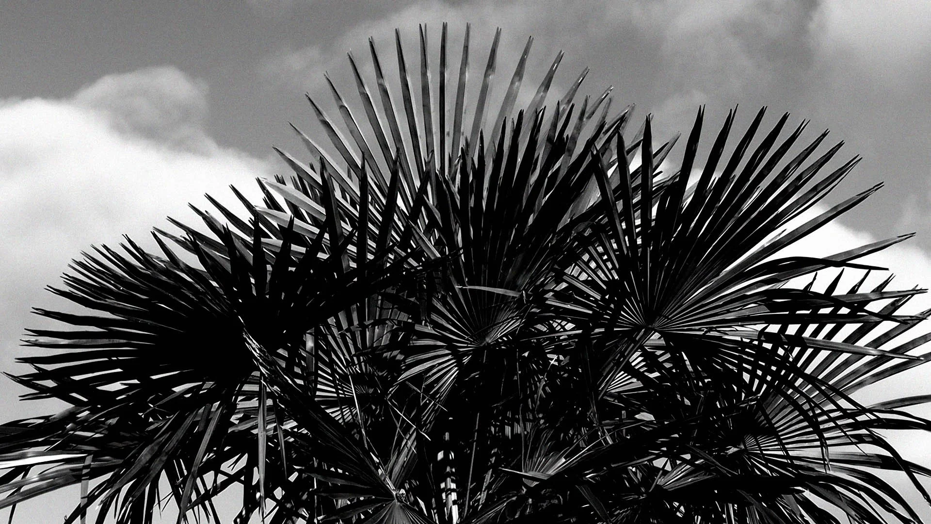 DEF workspace 1 dec.00_03_15_10.Still029 2 kopie.jpg